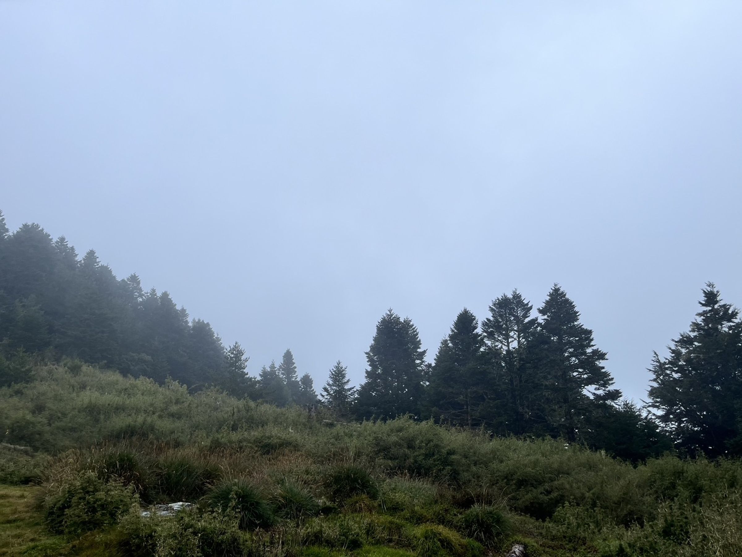 太管處呼籲,為確保人身安全,如非必要請暫時避免進入山區。(太管處提供)