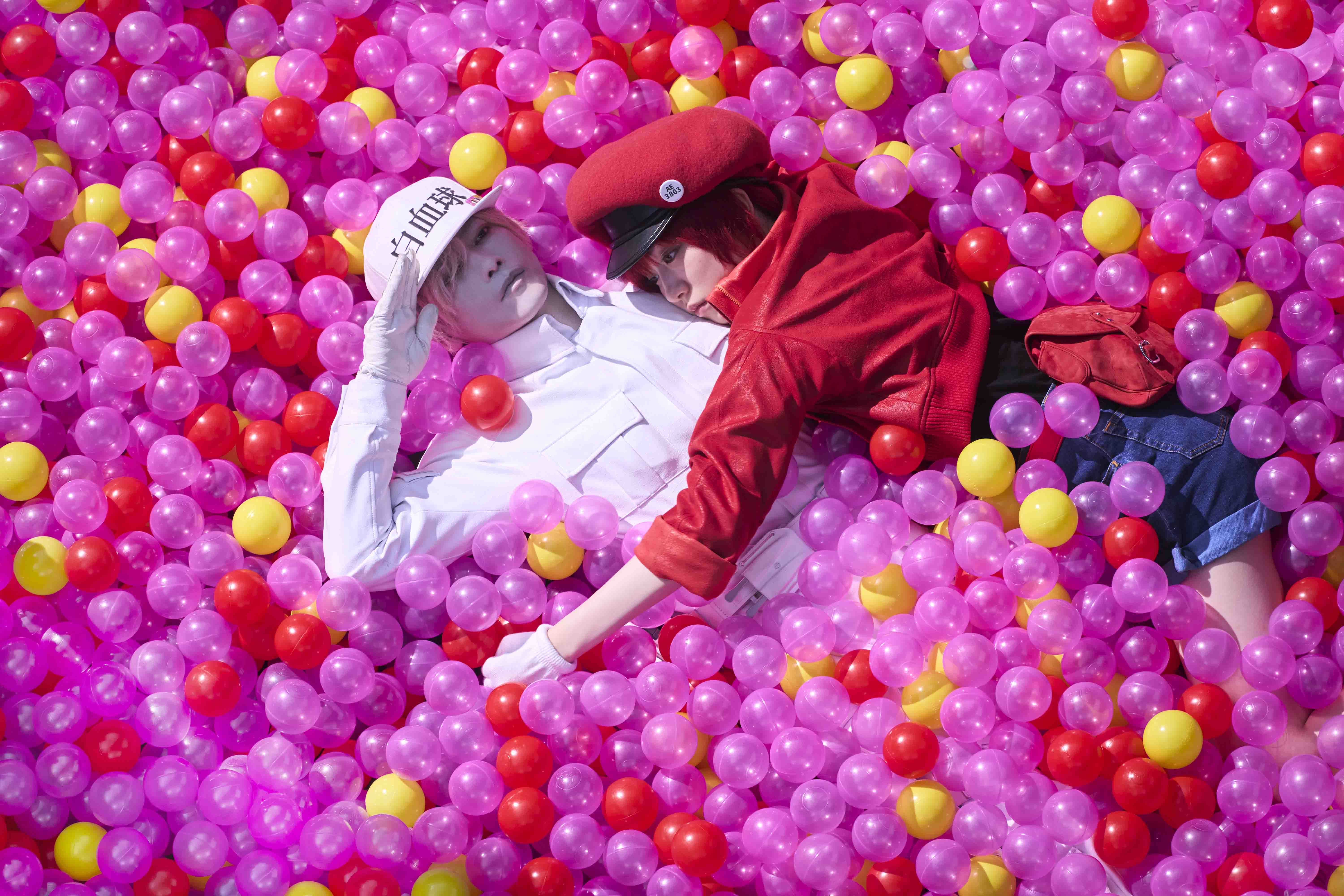 《工作細胞》由日本知名導演武內英樹執導，集結眾星打造一場華麗的體內大冒險。（天馬行空提供）