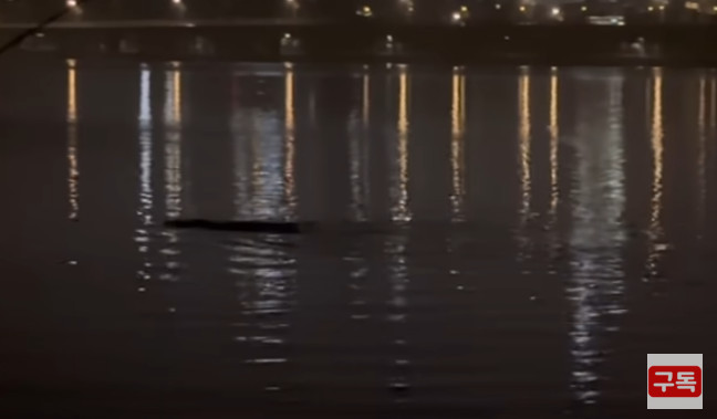 一名網友在漢江夜釣時,意外目睹不明生物浮出水面,長度至少有6公尺。(翻攝YT@정담 스토리)