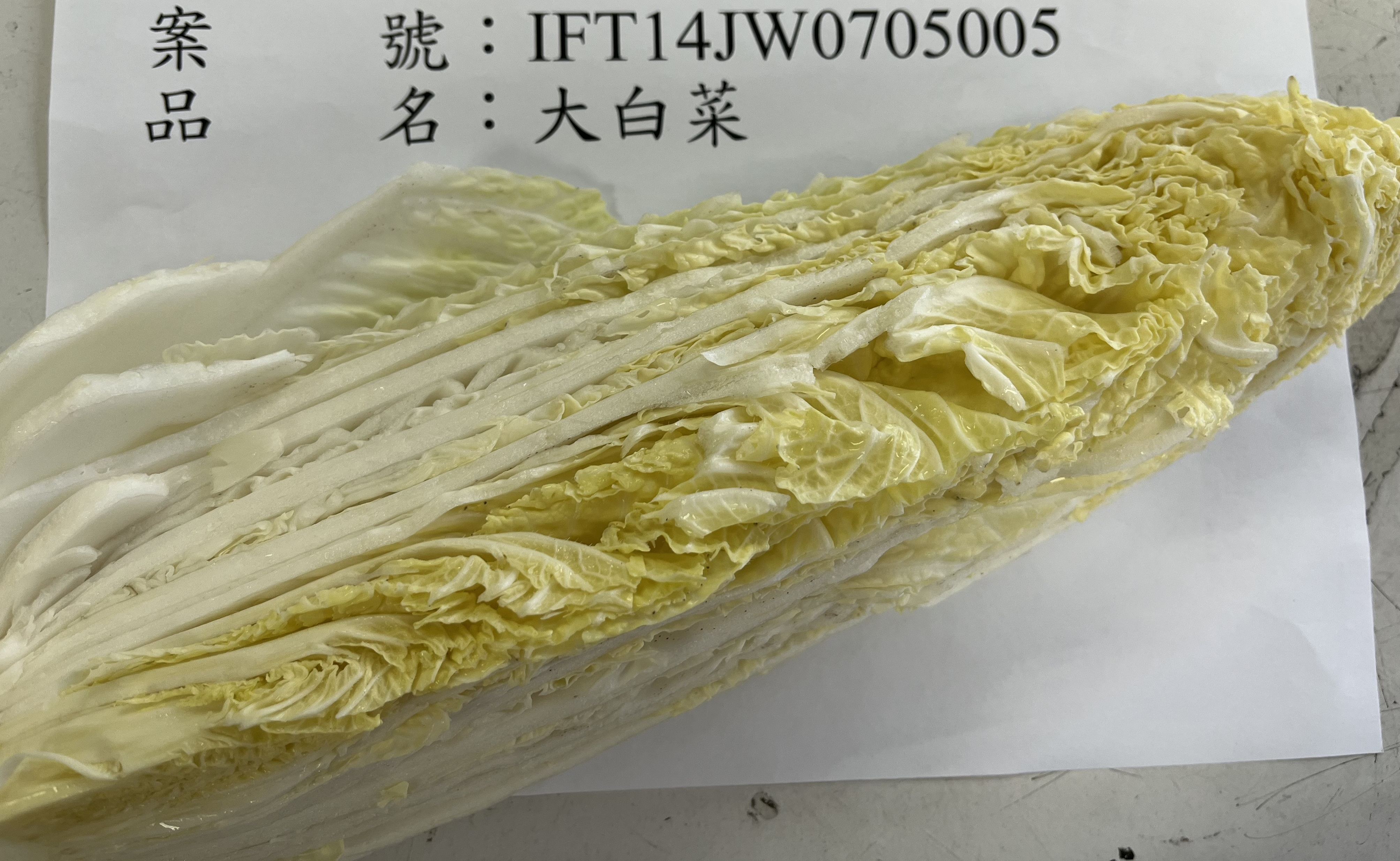 食藥署近日公布邊境查驗結果，兩批自越南進口的大白菜被檢驗出含有超標農藥。（食藥署提供）