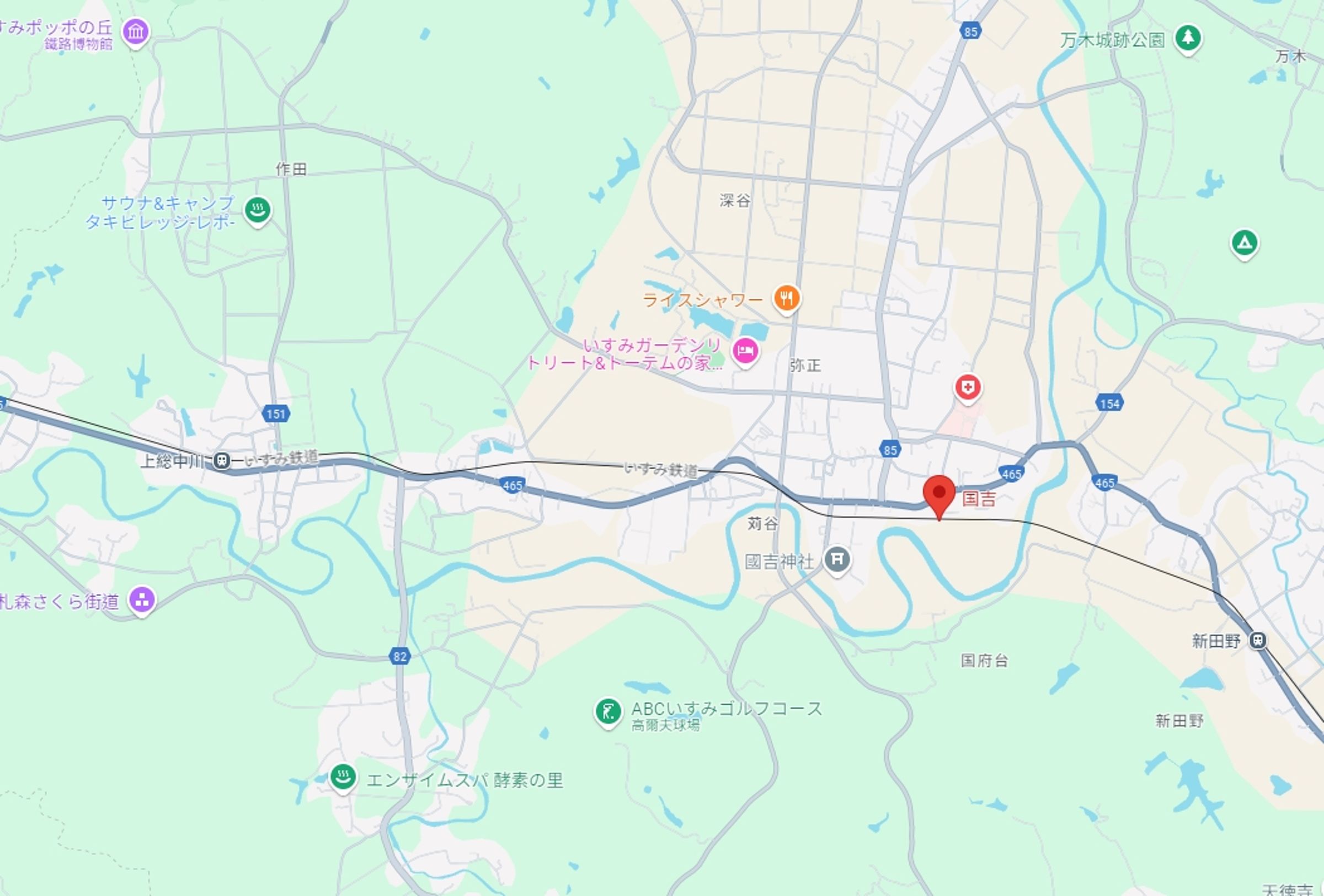 列車在國吉站附近傳出異常聲響，駕駛立刻緊急停車，避免造成進一步意外發生。（翻攝自Google Maps）