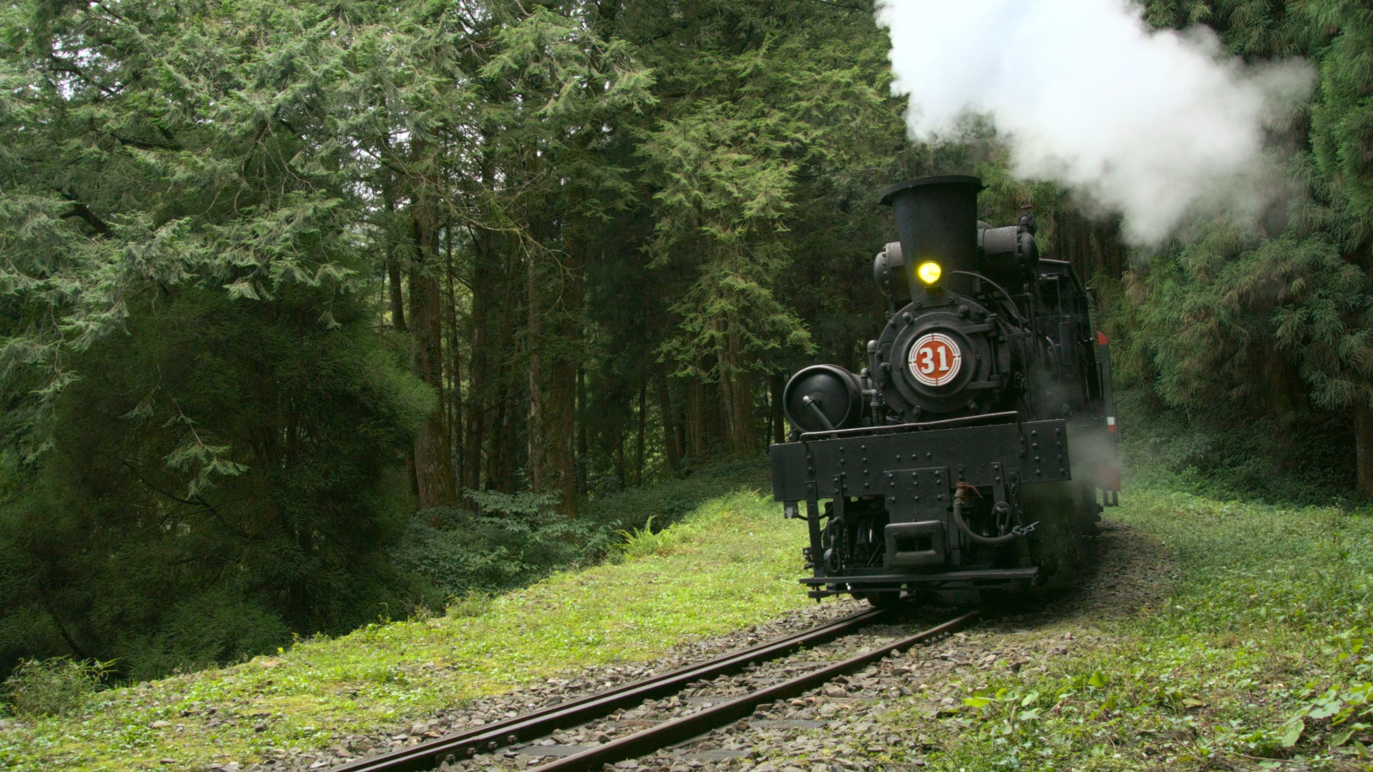 紀錄片《神木之森：阿里山森林鐵道紀行》以8K技術展現阿里山火車行駛森林鐵道的美景。（公視提供）