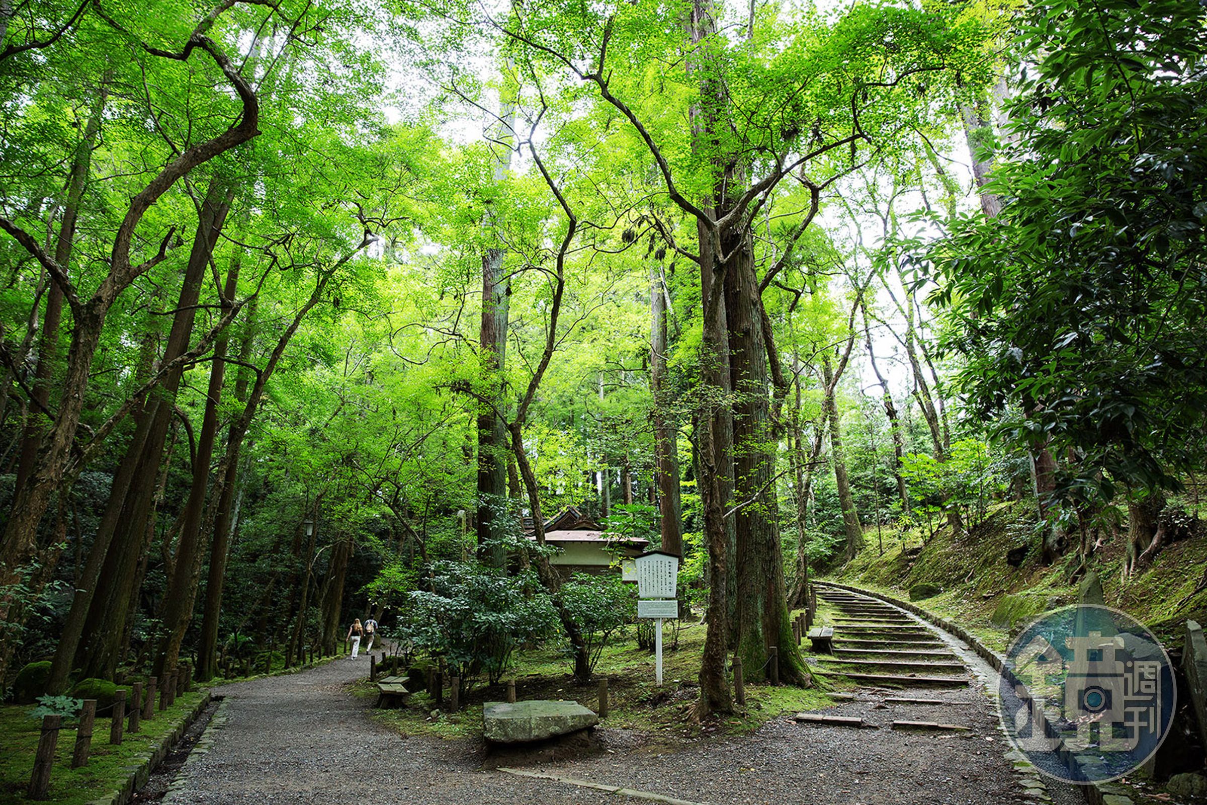 寺廟與成田山公園相連,這裡腹地廣大,一年四季都能欣賞到美麗的自然景色。