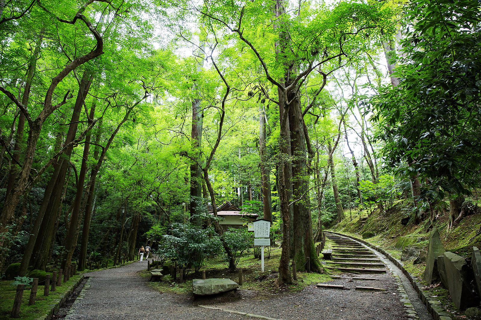 寺廟與成田山公園相連，這裡腹地廣大，一年四季都能欣賞到美麗的自然景色。