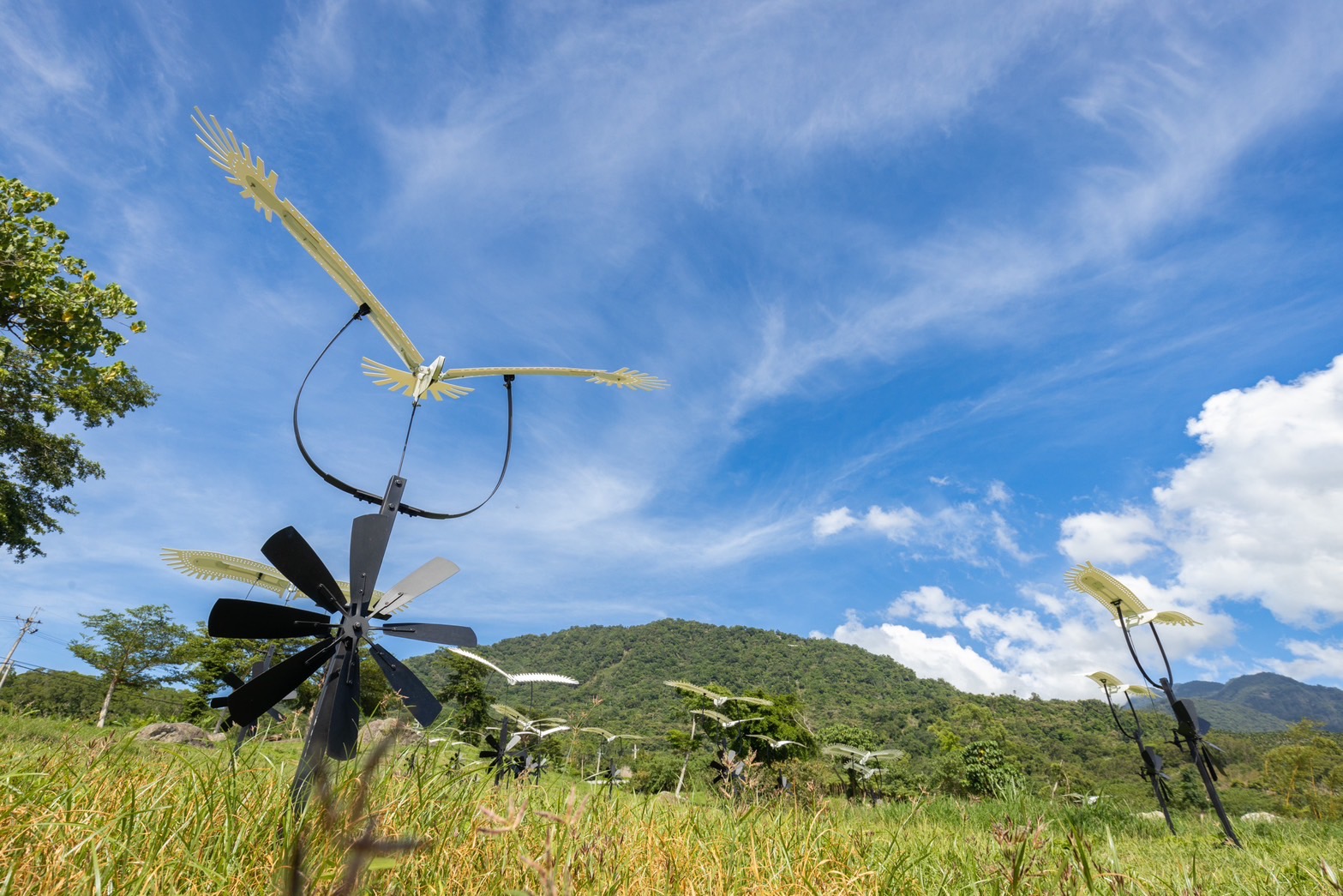 《白色飛翔》是位於六十石山，數十隻連動風車的機械白鷺鷥翅膀，風起時會隨之振翅起飛。