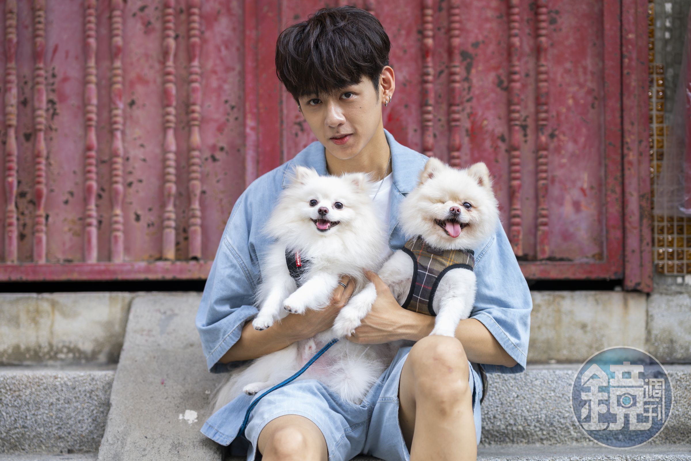 愛犬拿鐵與小明在家中打架護食,讓洪暐哲很頭大。
