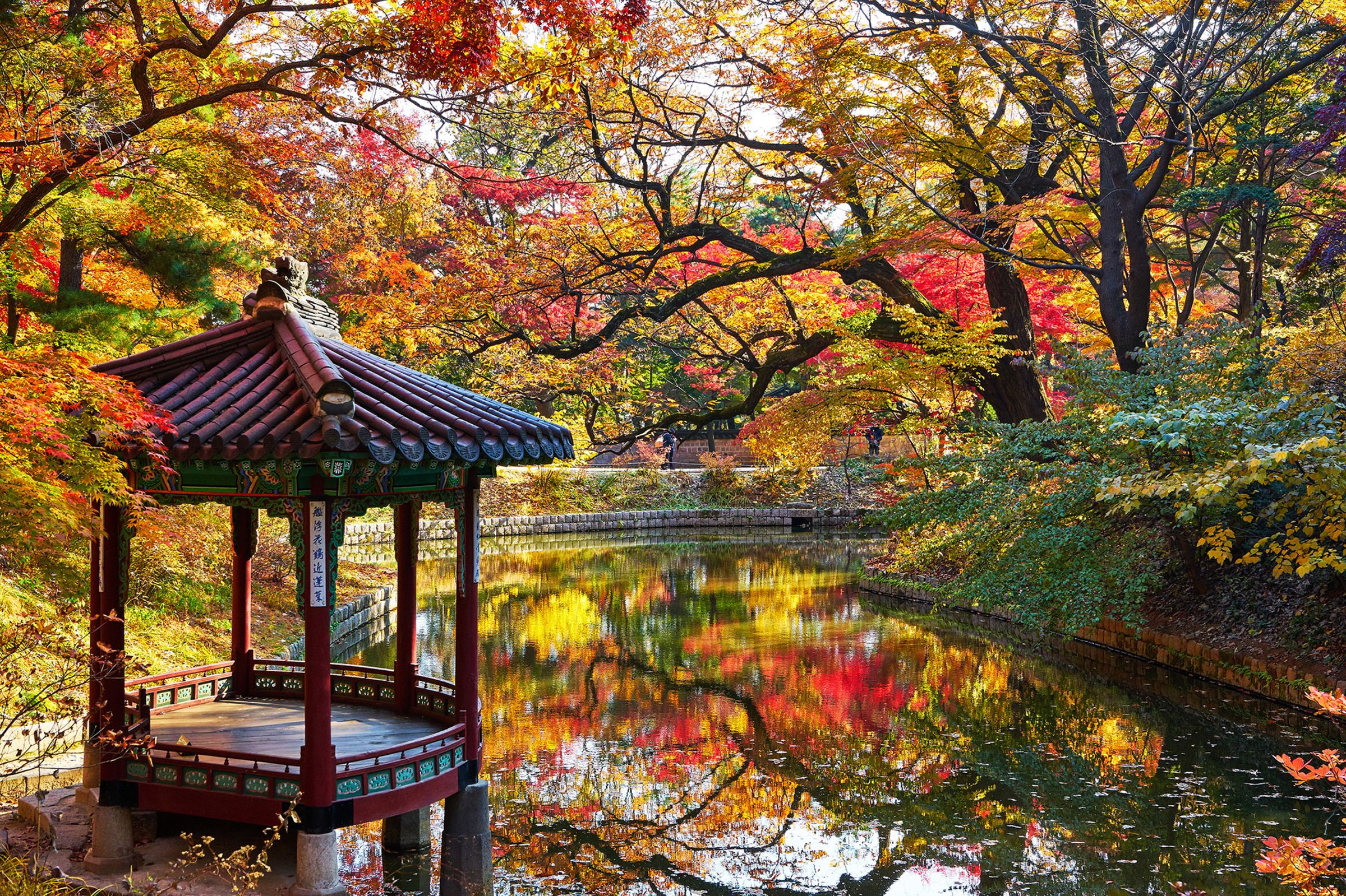 昌德宮的楓紅美景十分浪漫迷人。(韓國觀光公社提供)
