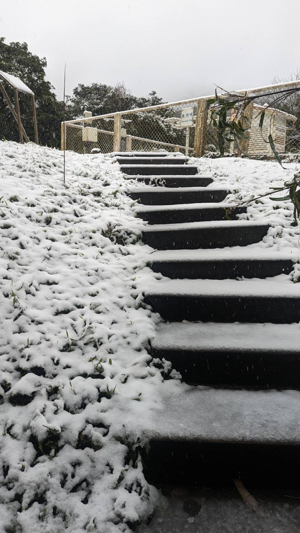 陽明山鞍部氣象站今早開始飄雪。(氣象署提供)