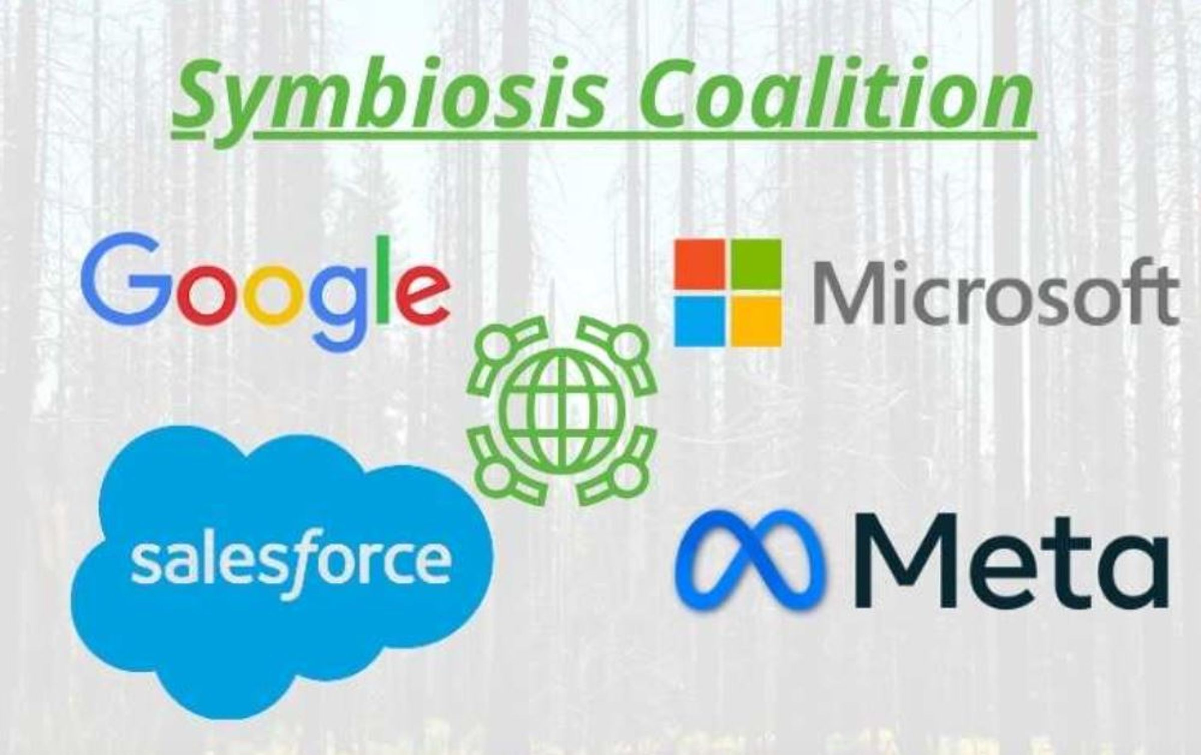 由微軟(Microsoft)、谷歌(Google)、臉書(Meta)、Salesforce等組成的共生聯盟(Symbiosis Coalition),預計2030年前要取得全球2千萬噸的自然碳匯。(翻攝畫面)