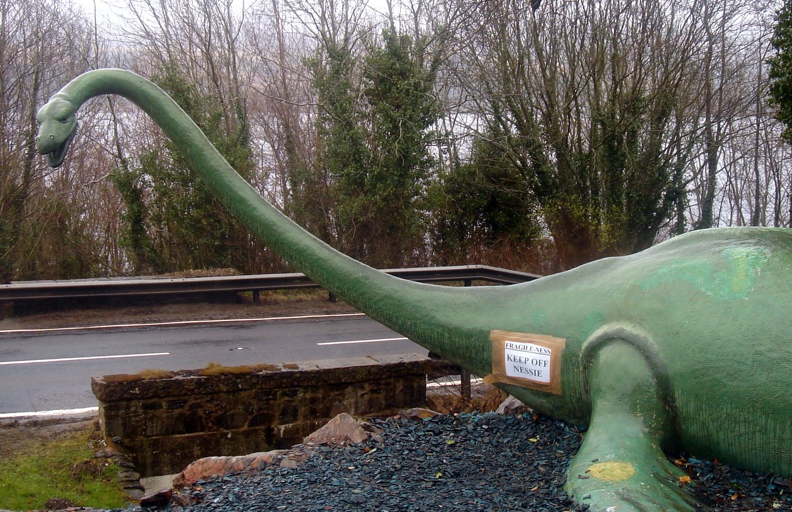 尼斯湖水怪傳說眾多紛紜，不時傳出捕捉到水怪的驚奇畫面。（示意圖，翻攝維基百科）