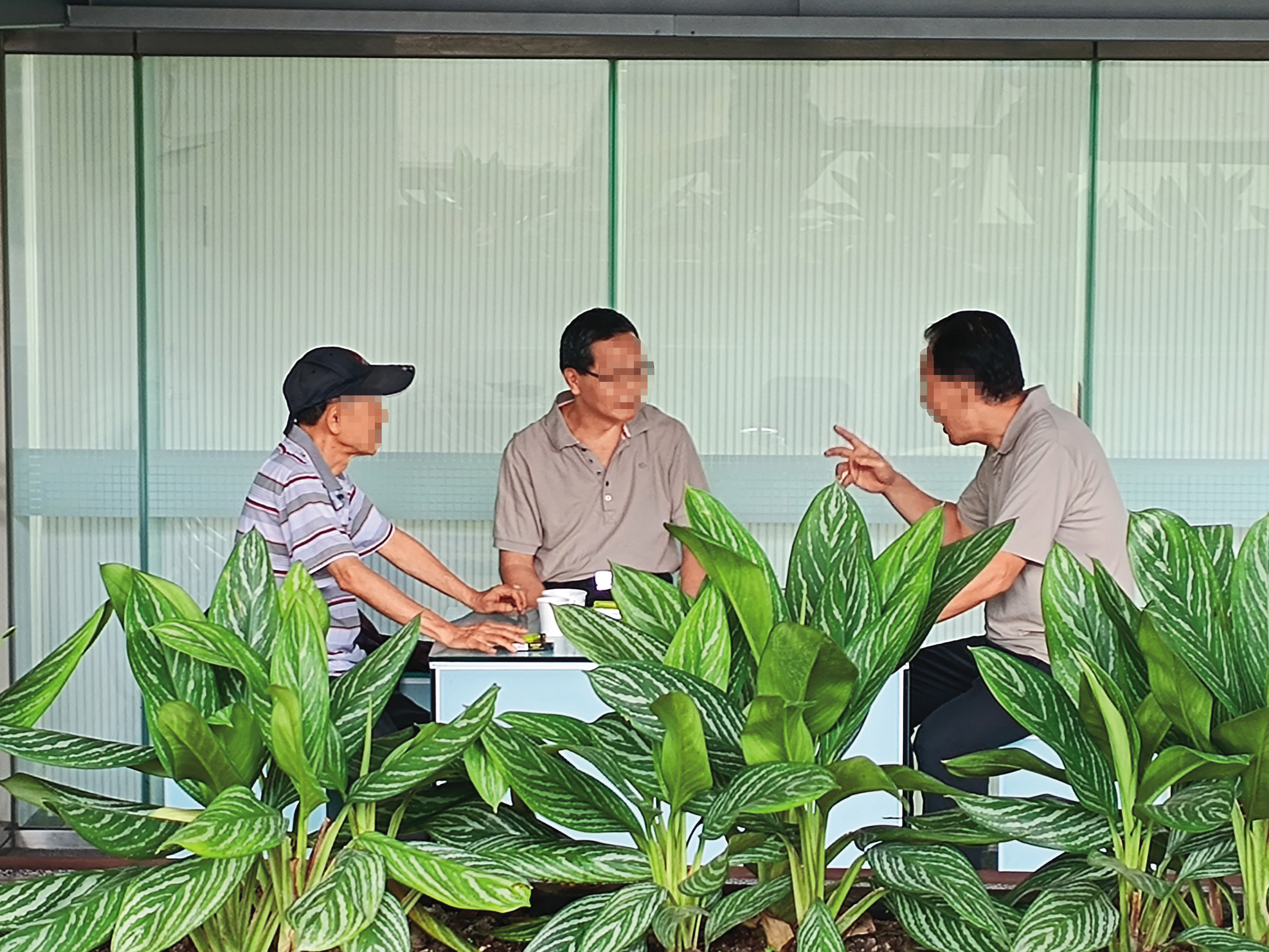 電視台陳姓前主播（右）寄生台北市議會，甚至把議會當成談事情的場所。