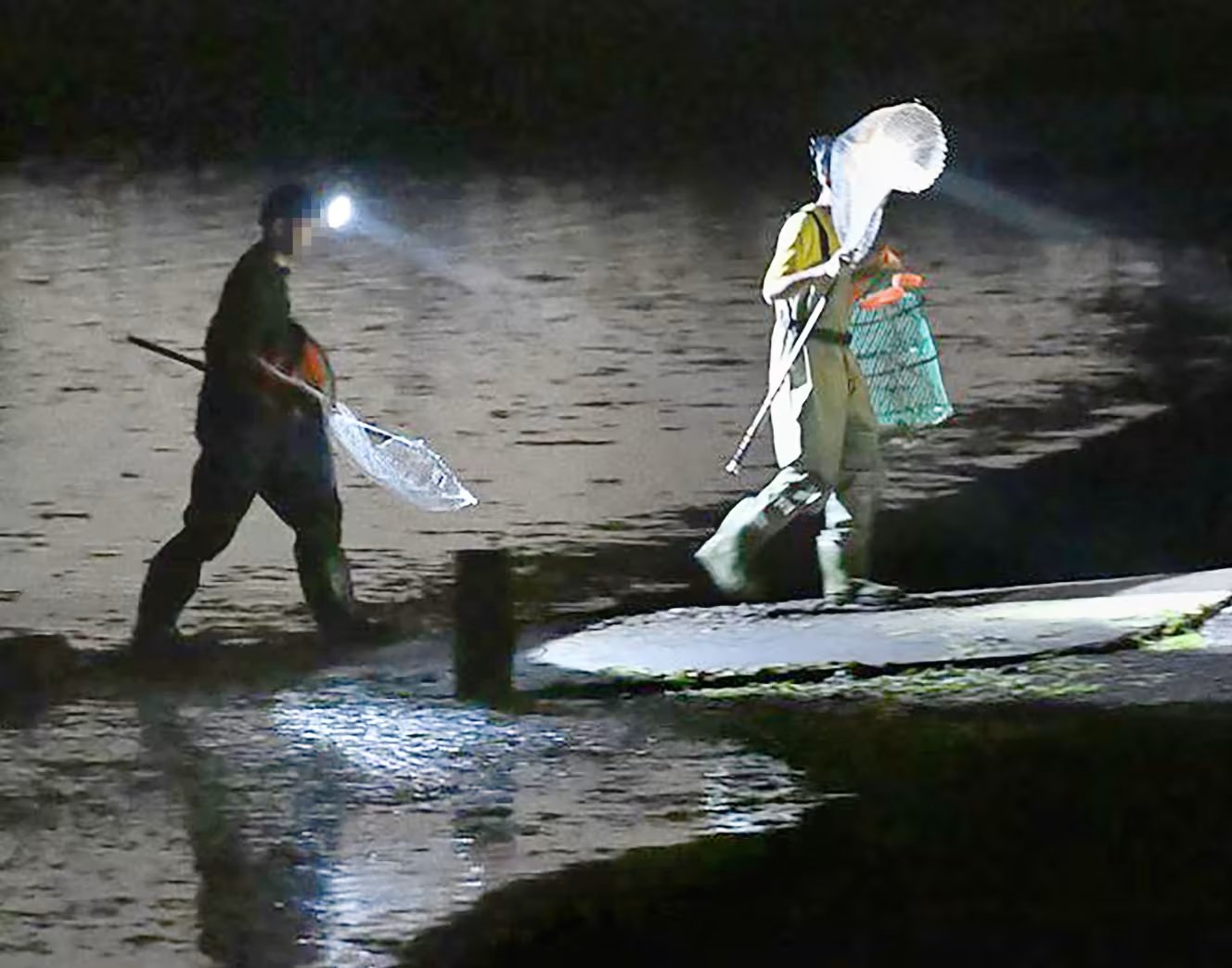 直擊中國人闖日本盜捕蝦蟹，被問不怕核汙水？「沒事兒！海那麼大」。（翻自X平台）