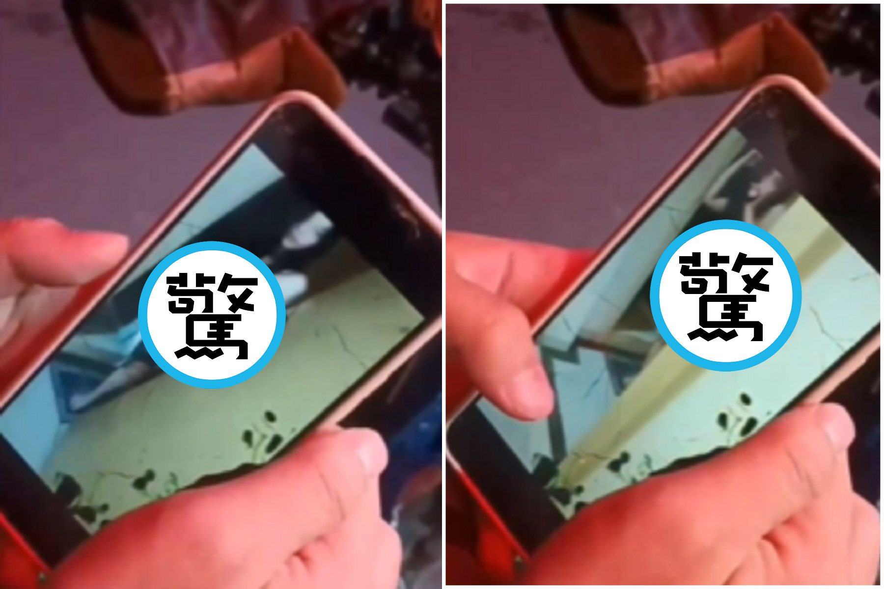 外送員遇奇葩女，全裸迎接色誘！同事看片已羨慕「為何我遇不到」。（翻自《黑料網》）