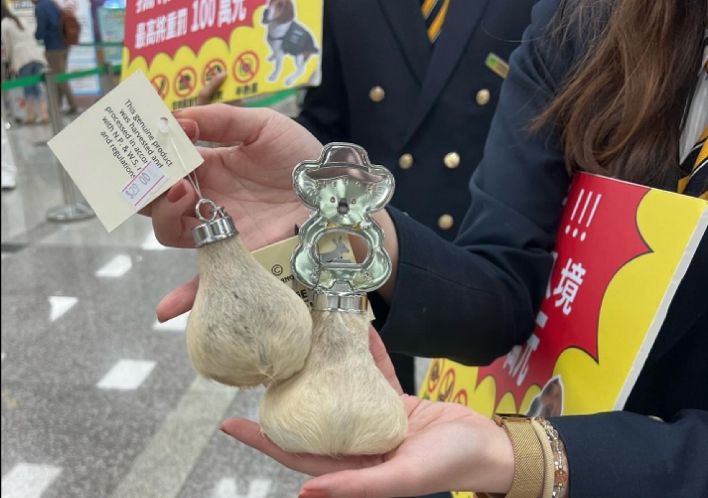 澳洲超夯的「袋鼠蛋蛋」紀念品「已列為禁止品項」。(翻攝自Threads)
