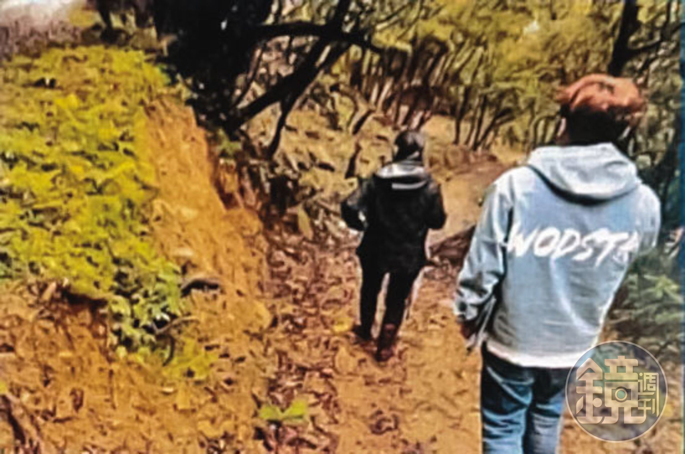 投訴人指控,利益團體在雙溪購買山坡地,再分割成多筆,讓人頭登記。(讀者提供)
