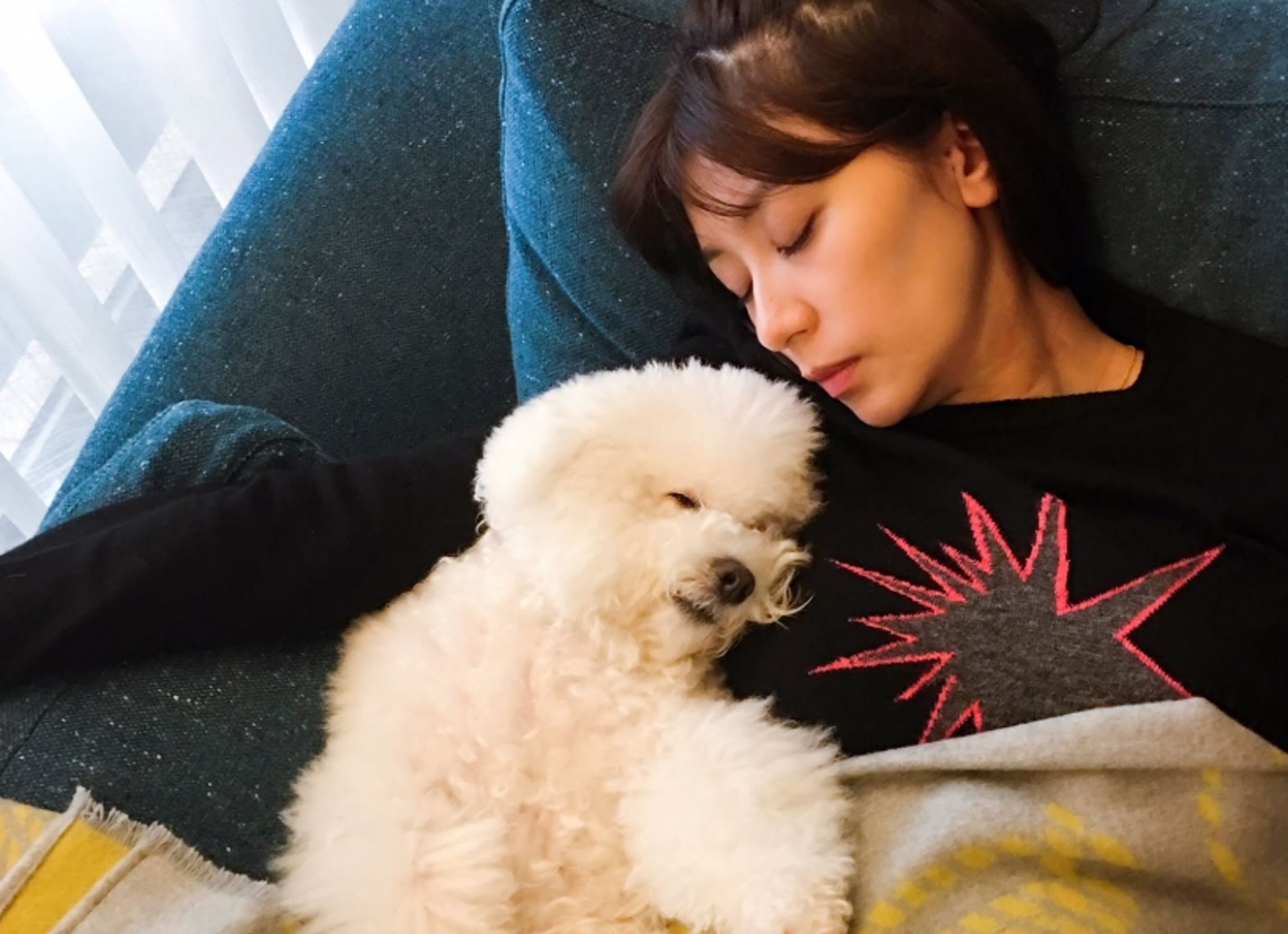 賈靜雯愛犬離世。（翻攝自IG）
