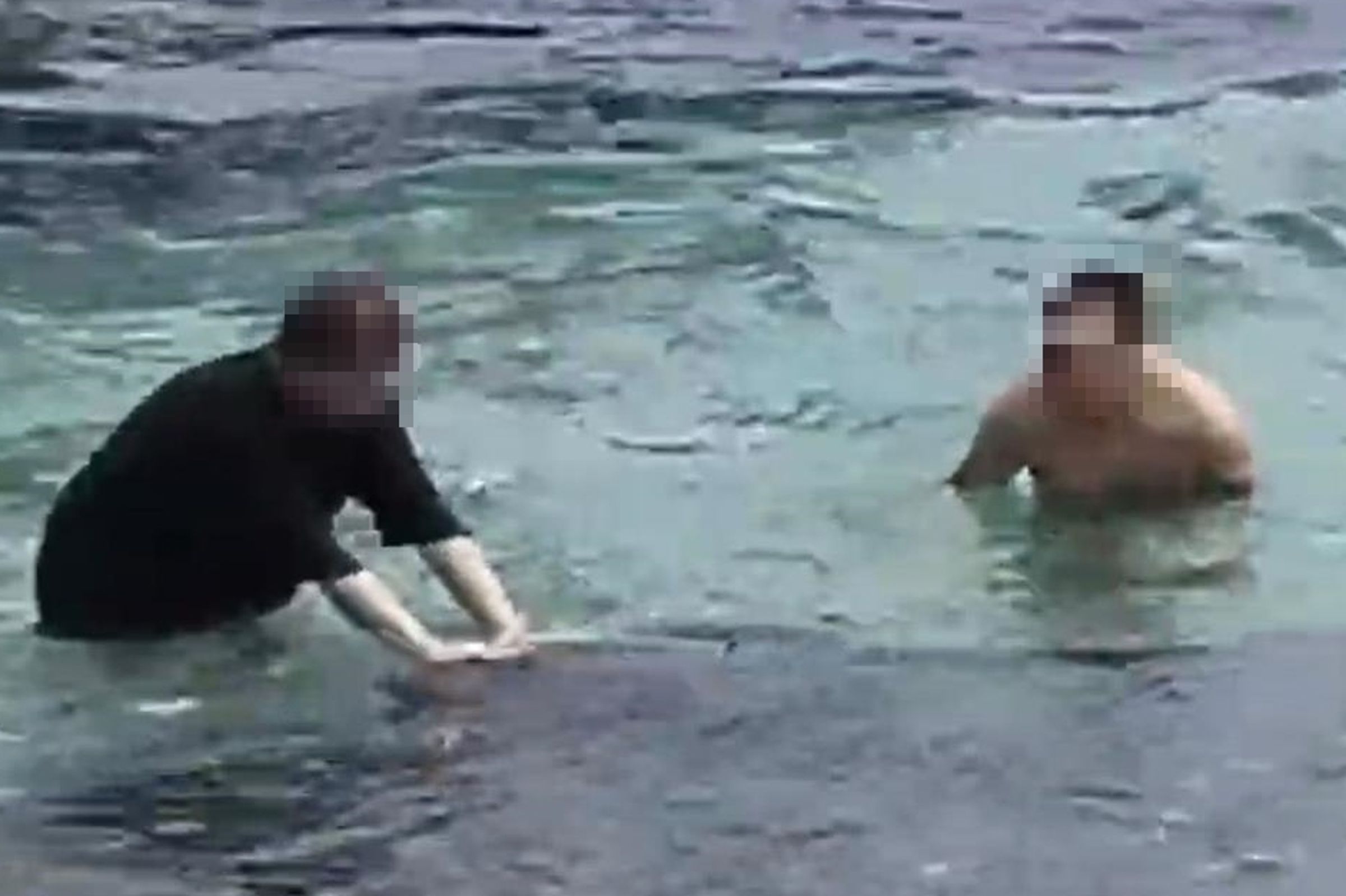 當時1隻大型海龜游至岸際附近，2名男子不僅靠近圍觀，未保持適當距離，甚至伸手推動海龜。（海巡署提供）
