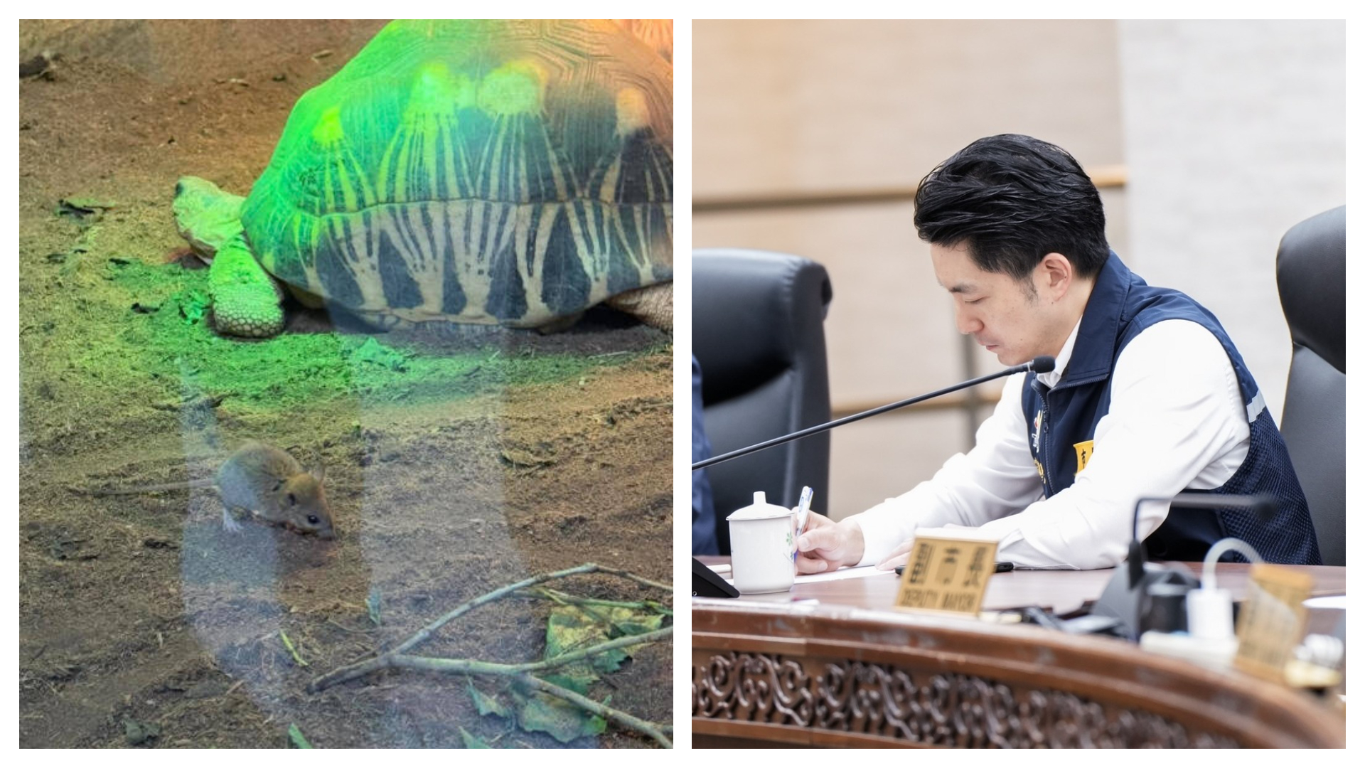 對於有老鼠入侵動物園，台北市長蔣萬安表示，動物園已加強相關場館的防鼠工程。（翻攝自Threads@chen0122ning、臉書@蔣萬安）