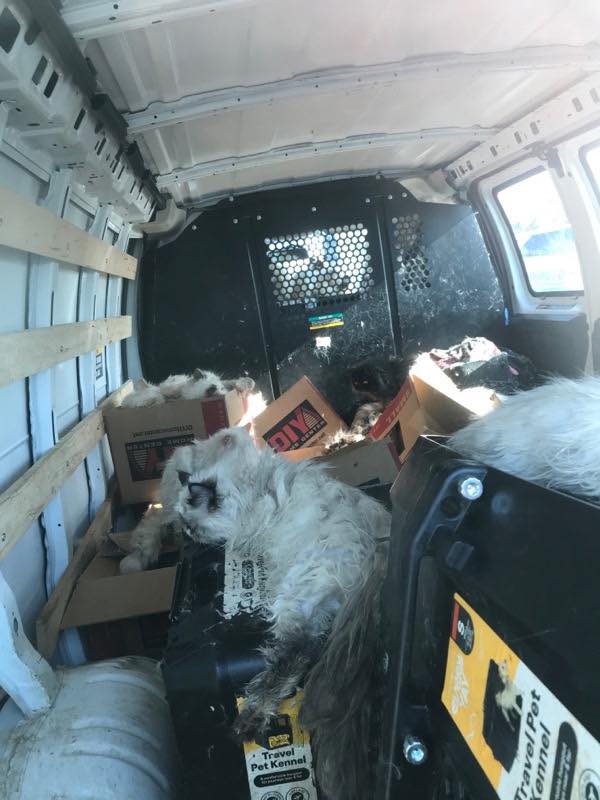貨車內環境相當糟糕。(翻攝自臉書Merced County Sheriff's Office )