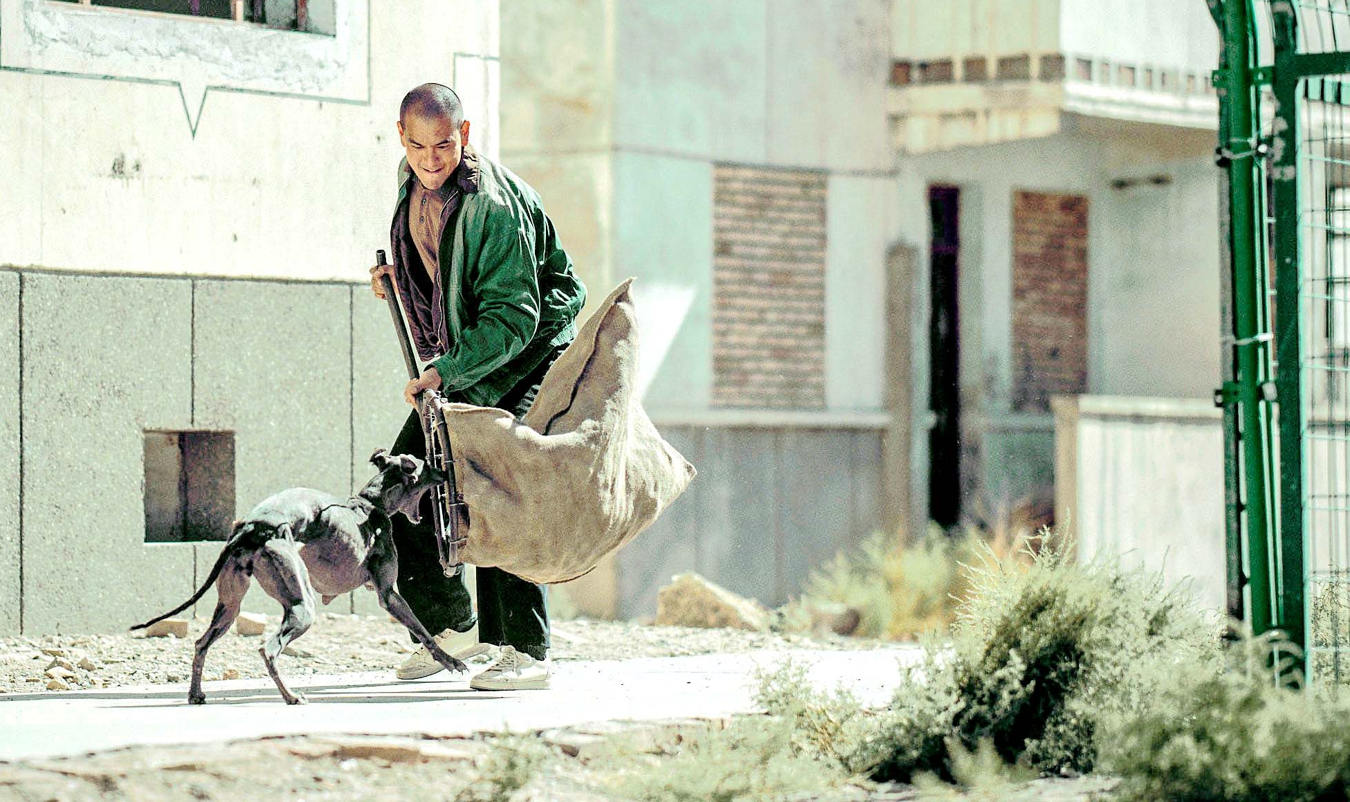 彭于晏在勇奪坎城「一種注目」最佳影片的《狗陣》裡，光頭硬派的造型又開闢了新戲路。（桃園電影節提供）