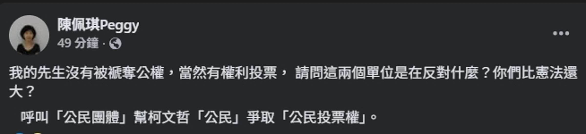 陳佩琪呼籲民團替柯文哲爭取投票權。(翻攝自臉書@陳佩琪)