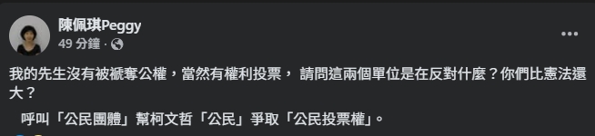 陳佩琪呼籲民團替柯文哲爭取投票權。(翻攝自臉書@陳佩琪)