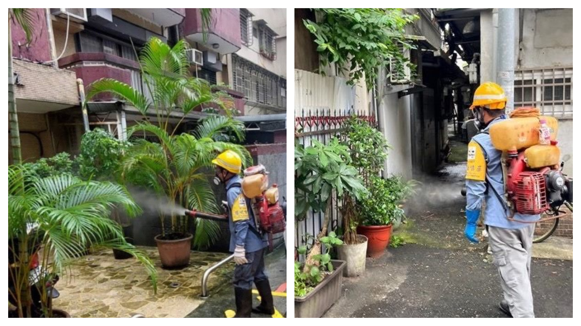 台北市衛生局宣布5例登革熱本土病例，含1例感染源待釐清中。（北市衛生局提供）