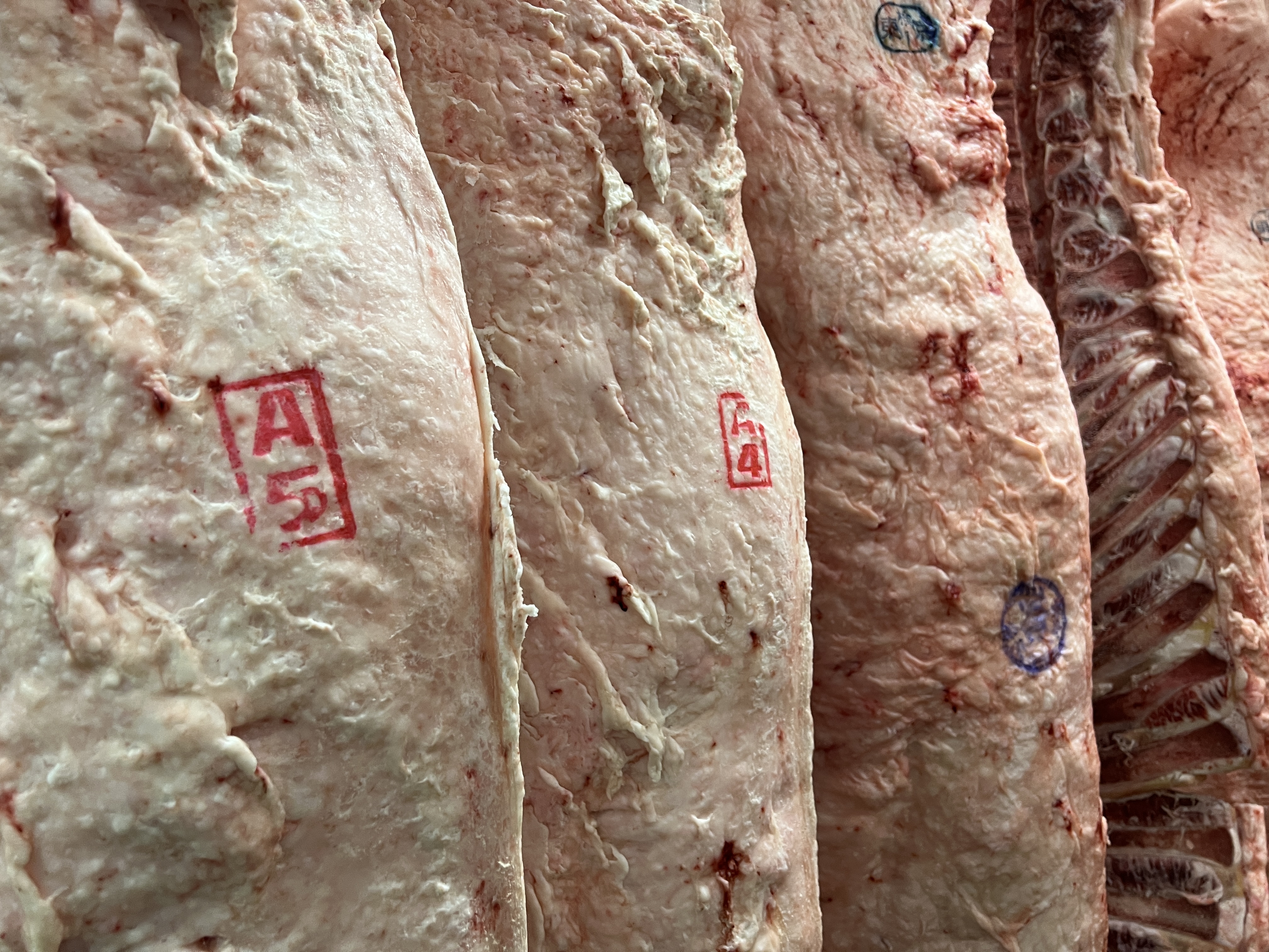 枝肉上蓋印的「A」代表可食用肉的比例；「5」才是代表肉質等級。