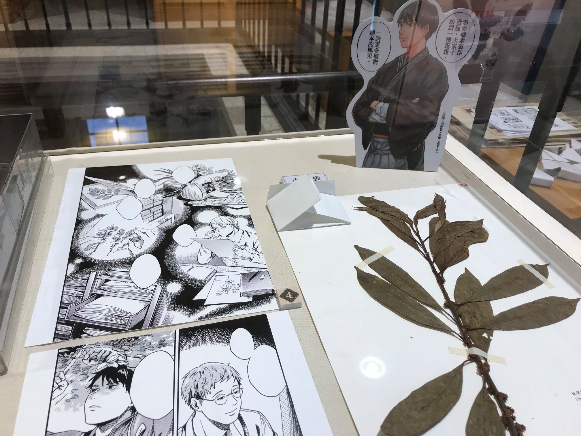 2021年《採集人的野帳》與漫畫主場景台北植物園腊葉館合作，展出漫畫原畫及館藏植物標本。（蓋亞文化提供）