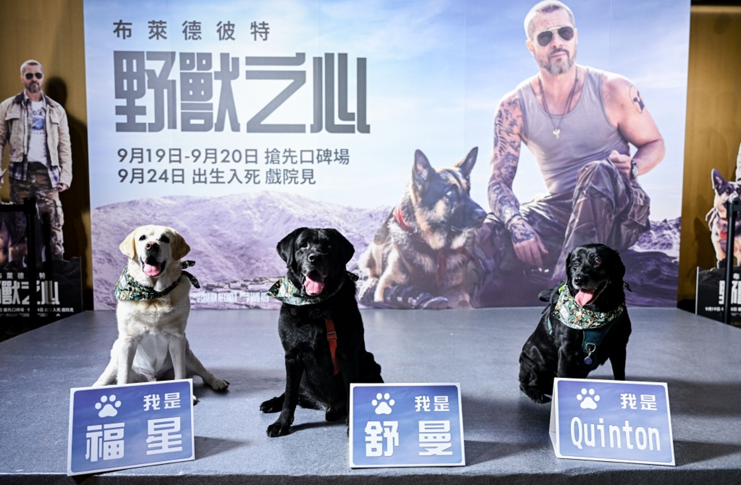 退役警犬福星(左起)、舒曼及Quinton,代表狗狗出席《野獸之心》台北首映。(派拉蒙影片提供)