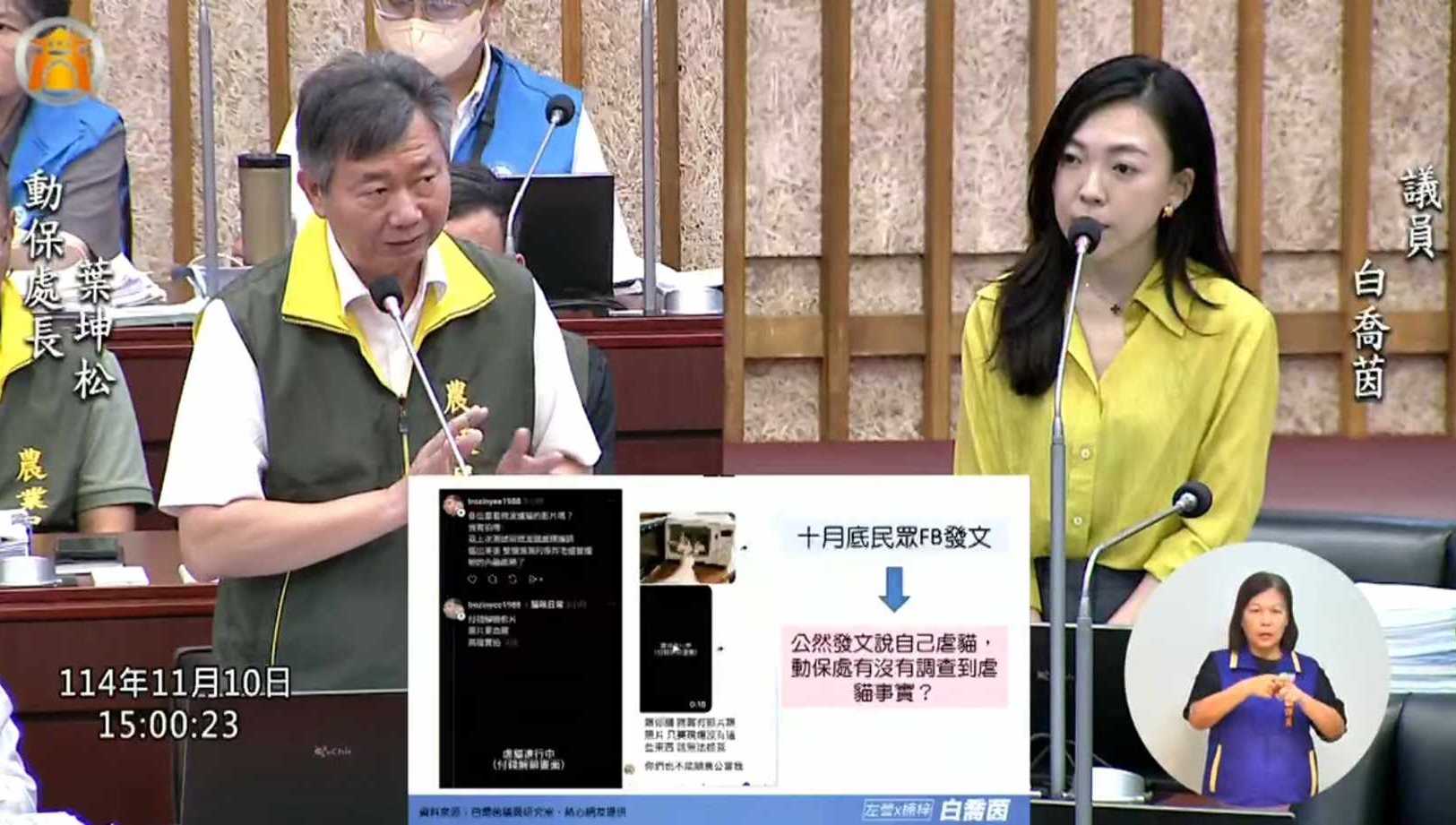 市議員白喬茵追查後,發現有多隻貓咪被卓男領養後就失蹤,有涉嫌虐貓的狀況,質詢時向動保處反映此事。(白喬茵辦公室提供)