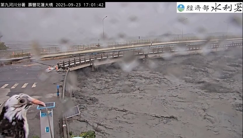 白頭鳥意外出鏡，佇立花蓮大橋即時影像畫面20分鐘，吸引網友討論。（翻攝自經濟部水利署）