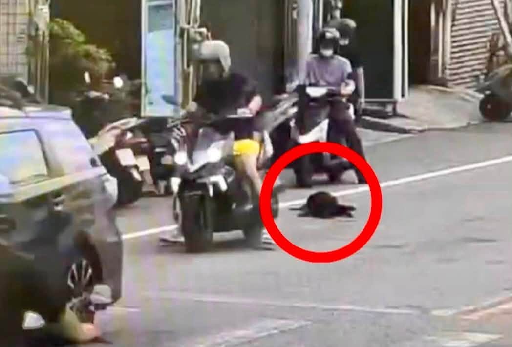 黑狗「小黑」慘遭拖行四肢磨破流血,送醫橫紋肌溶解慘死。(翻攝自「新竹市浪愛傳遞貓狗tnvr協會」臉書)