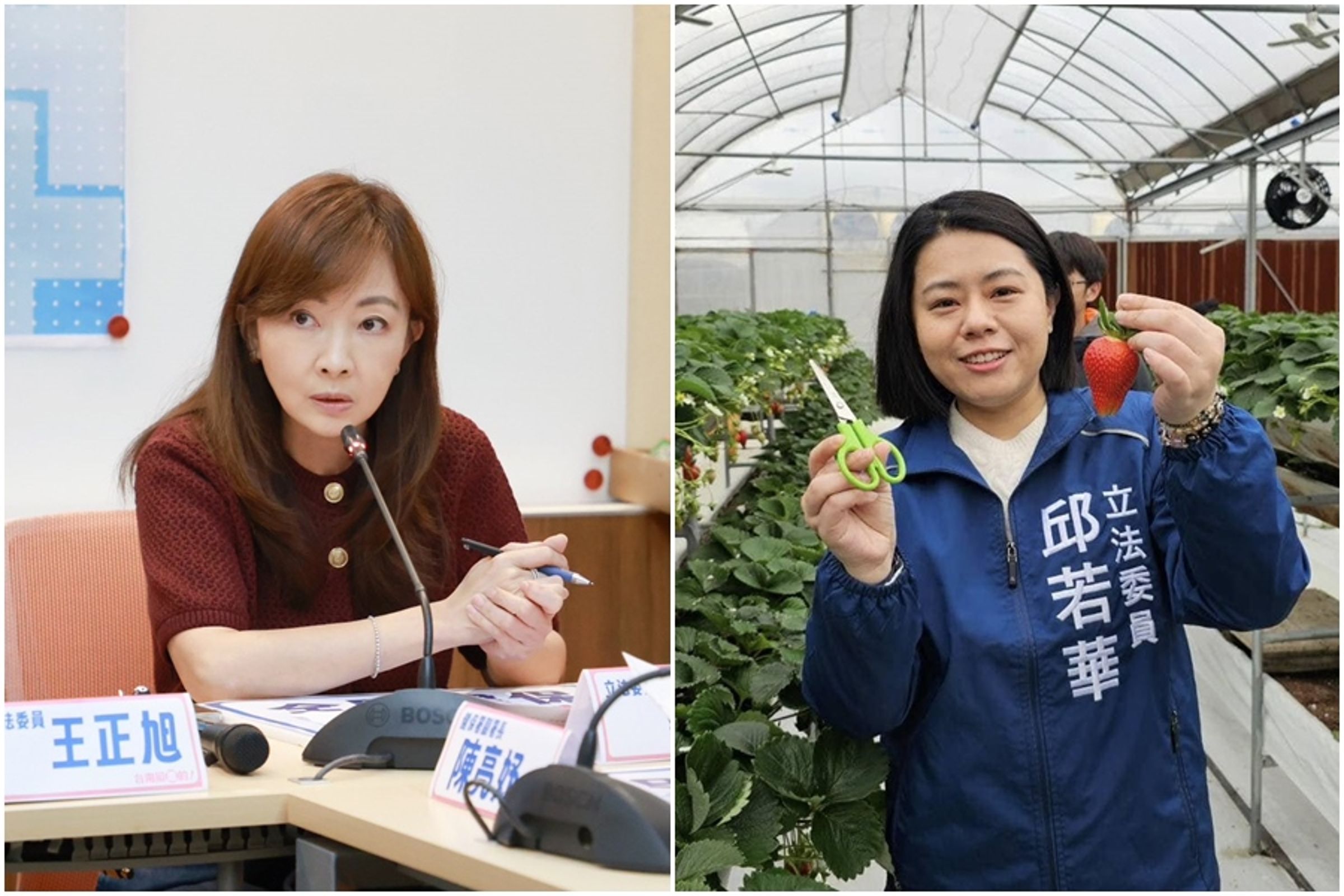 民進黨立委郭昱晴指控，國民黨立委邱若華將她爭取的政績做圖收割。（翻攝自郭昱晴、邱若華臉書）