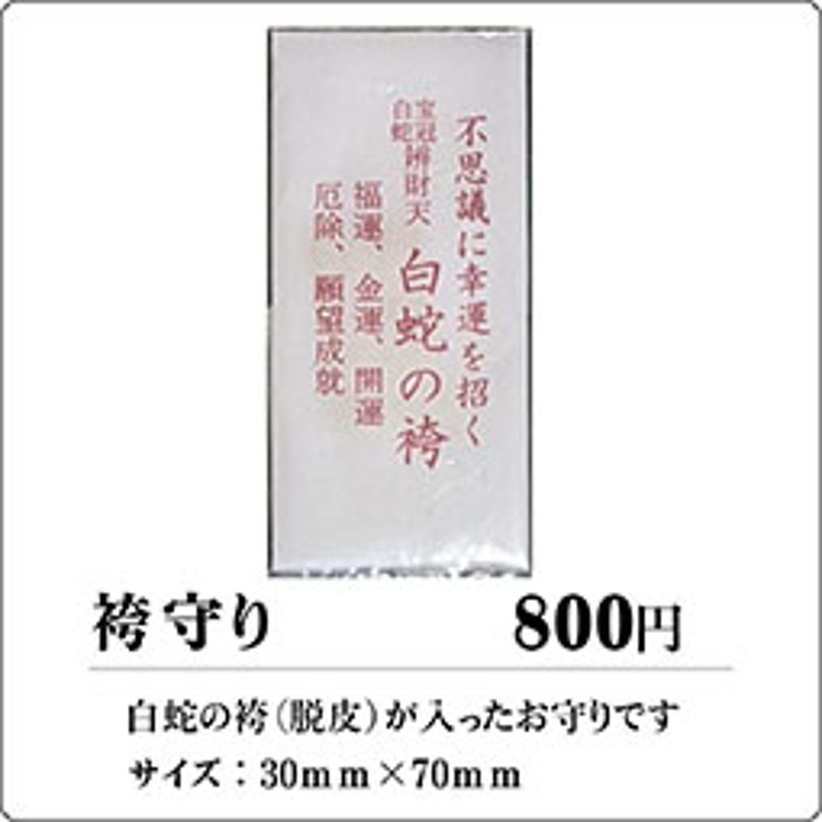 白蛇蛻皮御守內藏白蛇脫下的皮，保佑身體健康、金錢財運來，堪稱必買。（翻攝岩國白蛇保存會官網）