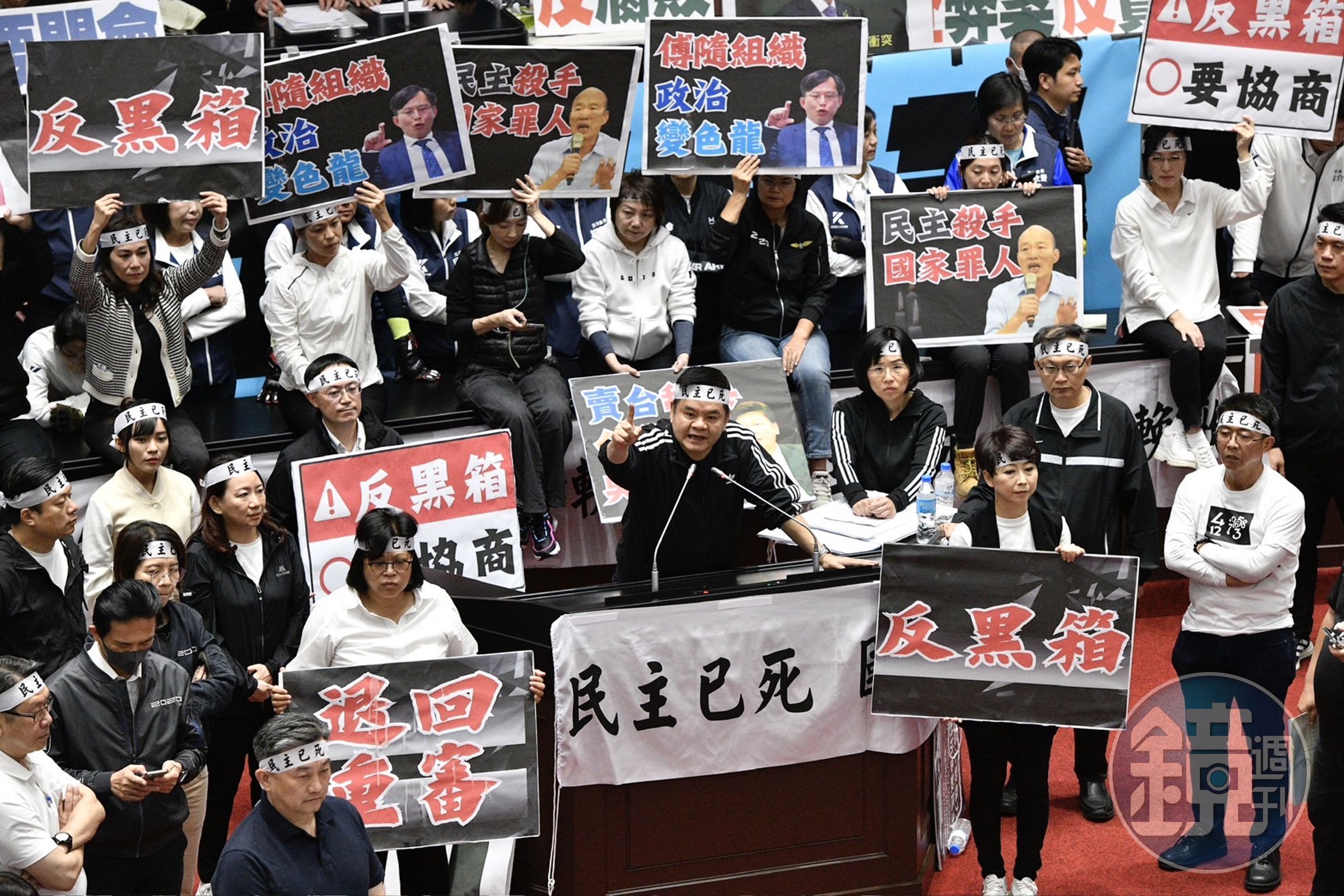 綠營痛批黑箱、要求審查，怒轟「民主已死」。