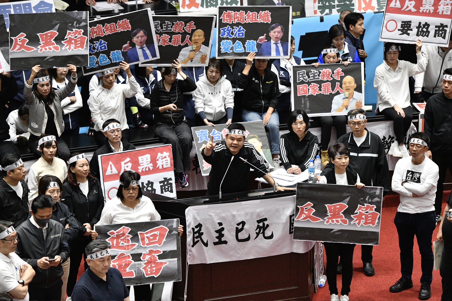 綠營痛批黑箱、要求審查，怒轟「民主已死」。
