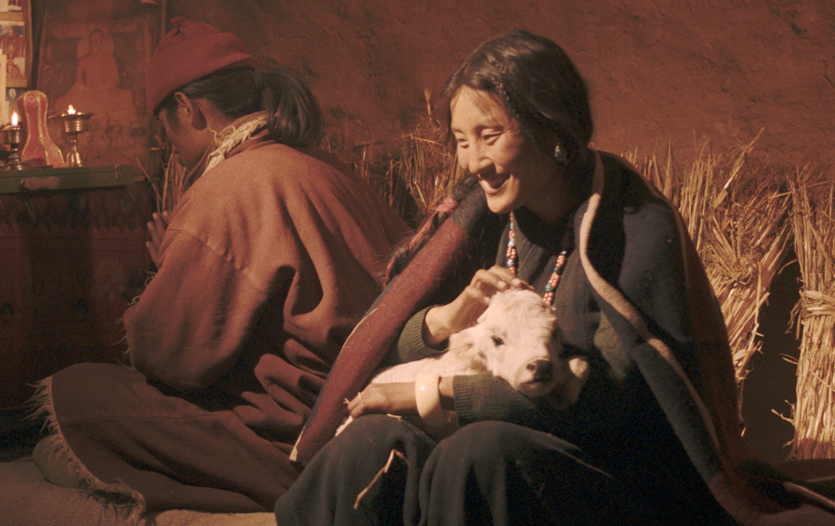 尼泊爾女星廷妮拉姆在片中飾演擁有三個丈夫的新娘「佩瑪」，為了腹中胎兒的合法性，她與二號丈夫踏上尋找一號丈夫的旅程。（海鵬提供）