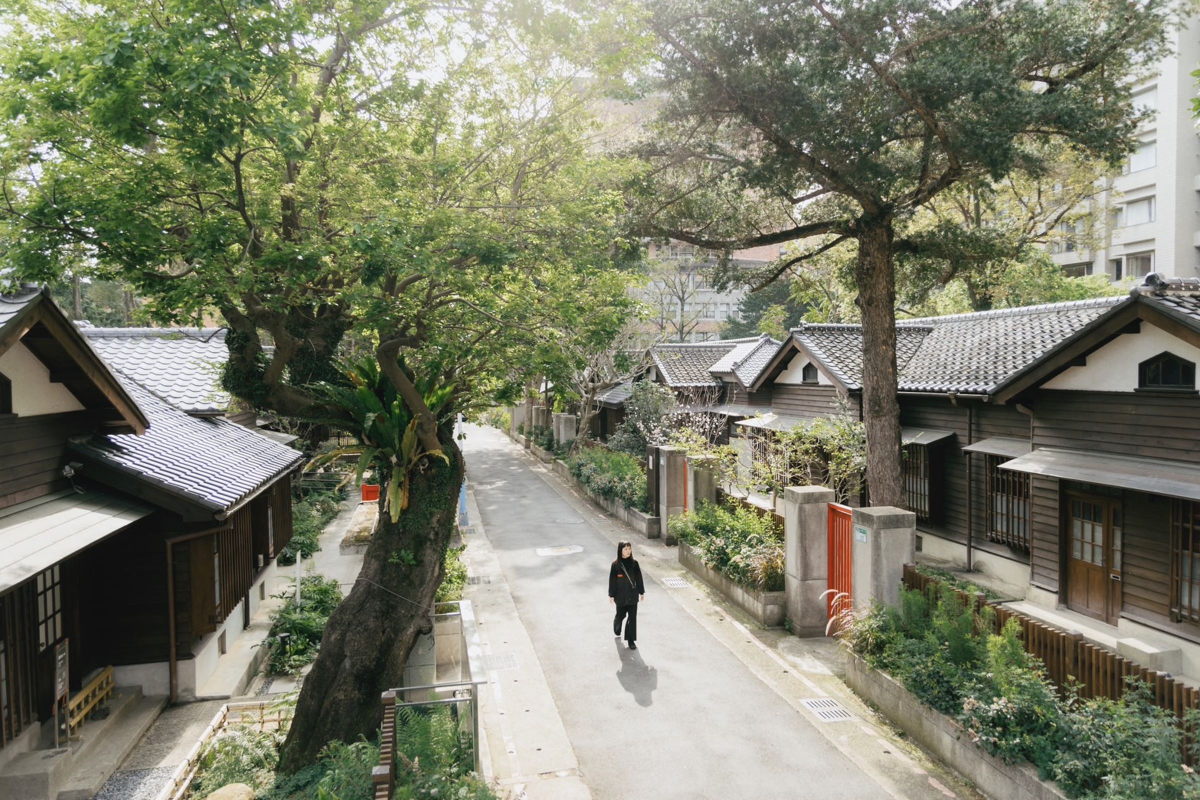 位於北市金山南路二段203巷的0km山物所，感念右方這棵百年的台灣油杉，本區得以被保留，以嶄新樣貌向大眾呈現當代風華。（0km山物所提供）
