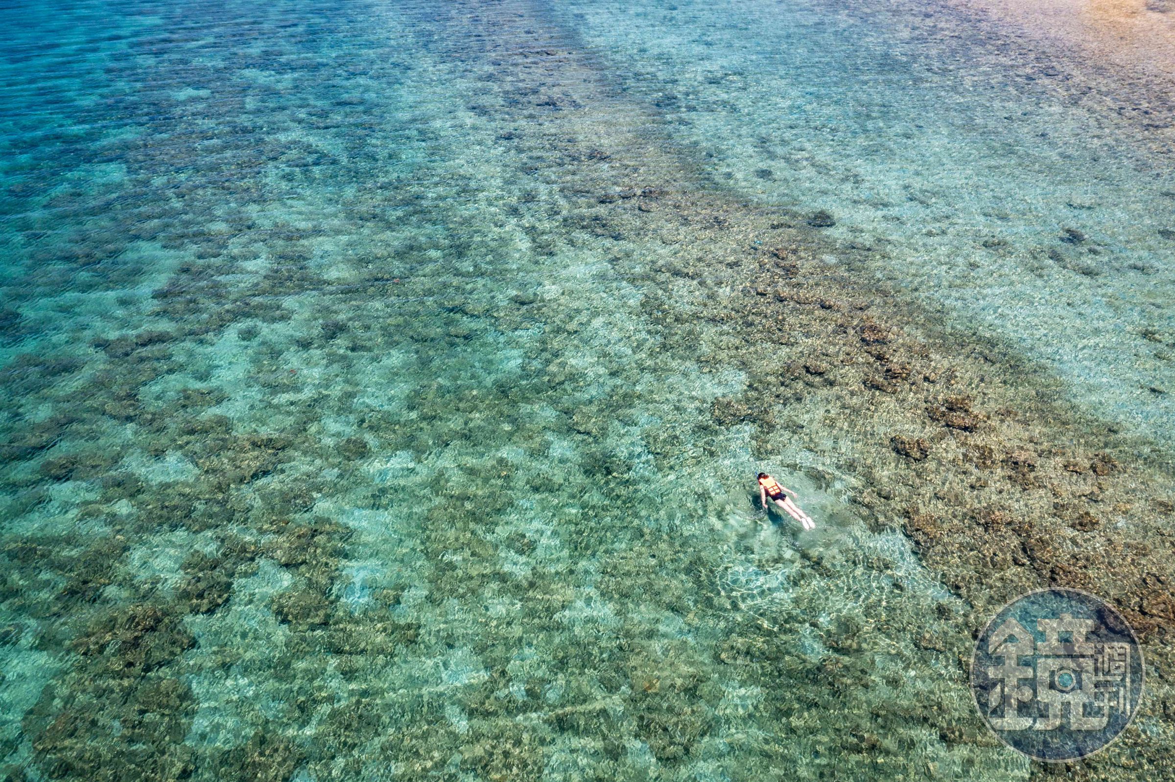 「海星島」（Starfish Island）水質實在太透徹，漂浮在水中心情寧靜又愜意。