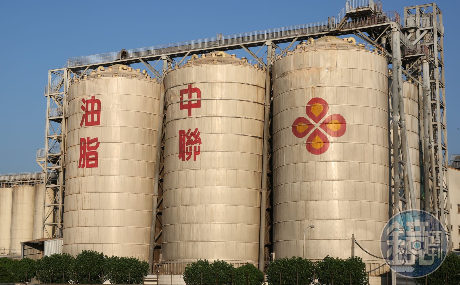 追致癌油源頭 爆中聯「放寬黃豆熱損標準10倍」食藥署大動作上門查廠
