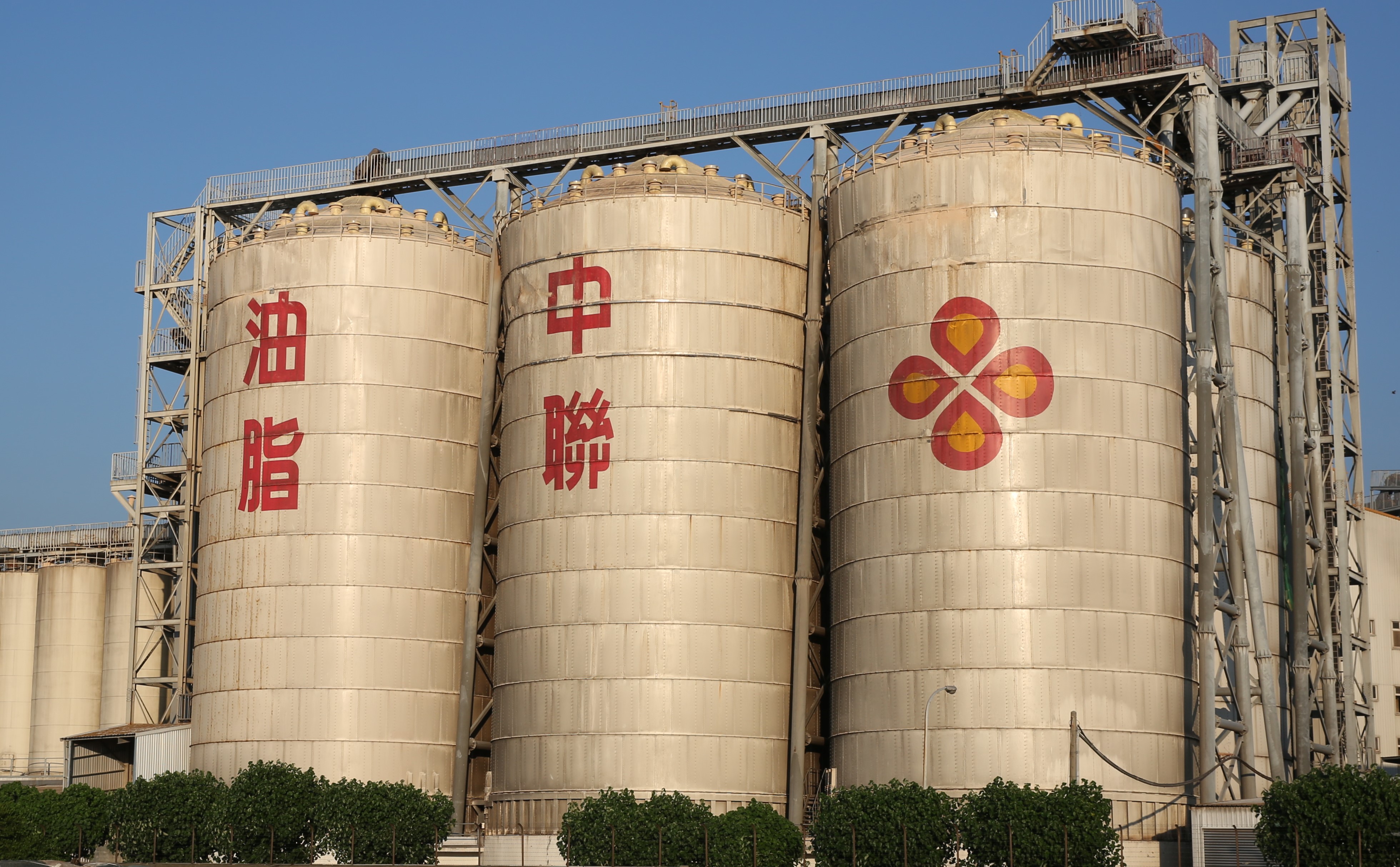 追致癌油源頭 爆中聯「放寬黃豆熱損標準10倍」食藥署大動作上門查廠