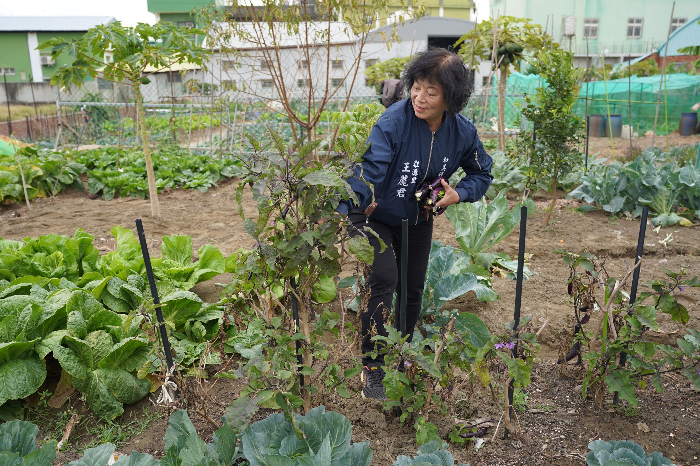和美鎮雅溝社區居民闢建社區菜園,獲得2023年環保署「低碳永續家園評等」銀級獎。