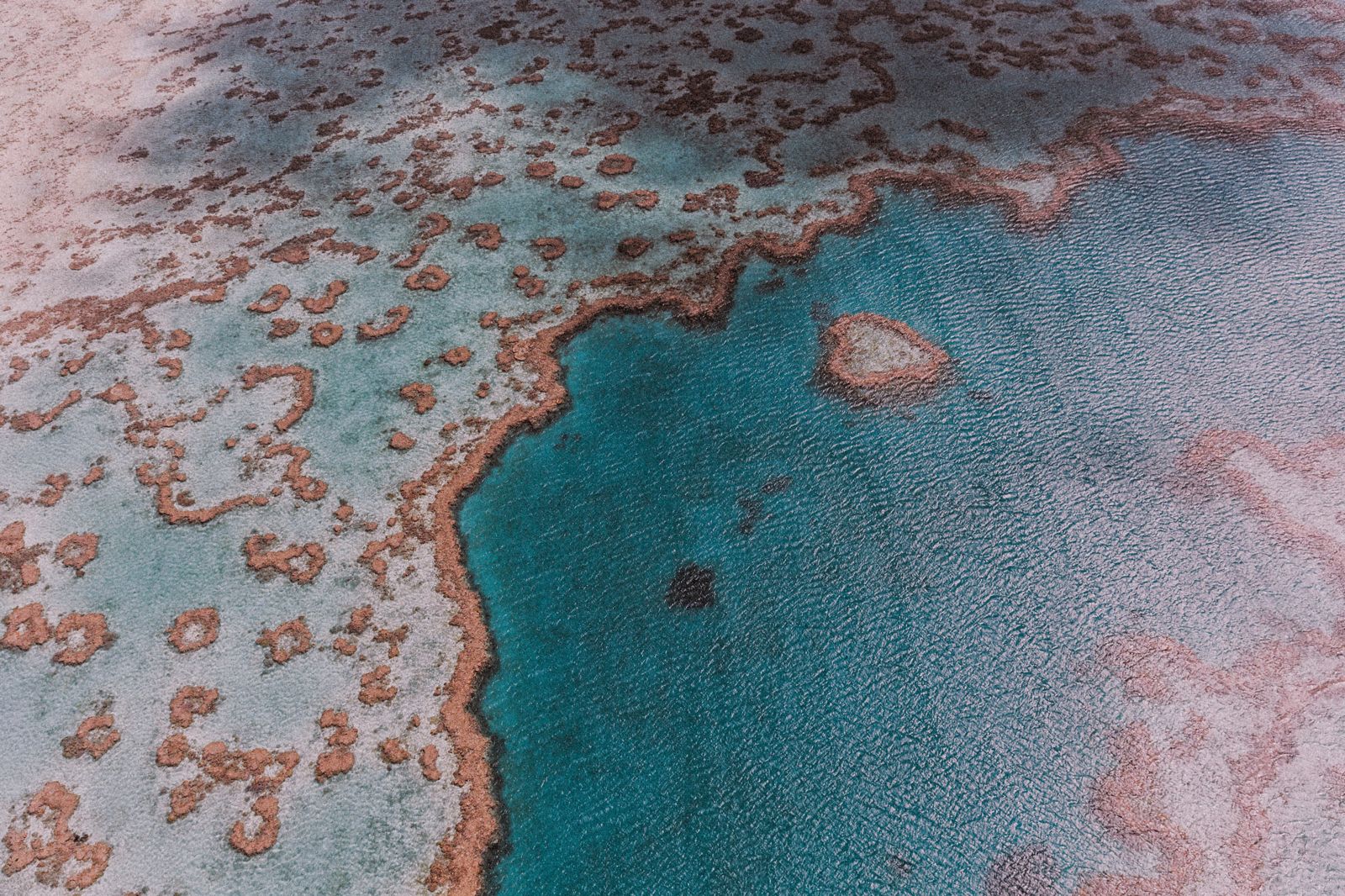 澳洲最新研究指出,大堡礁在過去一年經歷歷來最嚴重的珊瑚覆蓋率下降。(東方IC)
