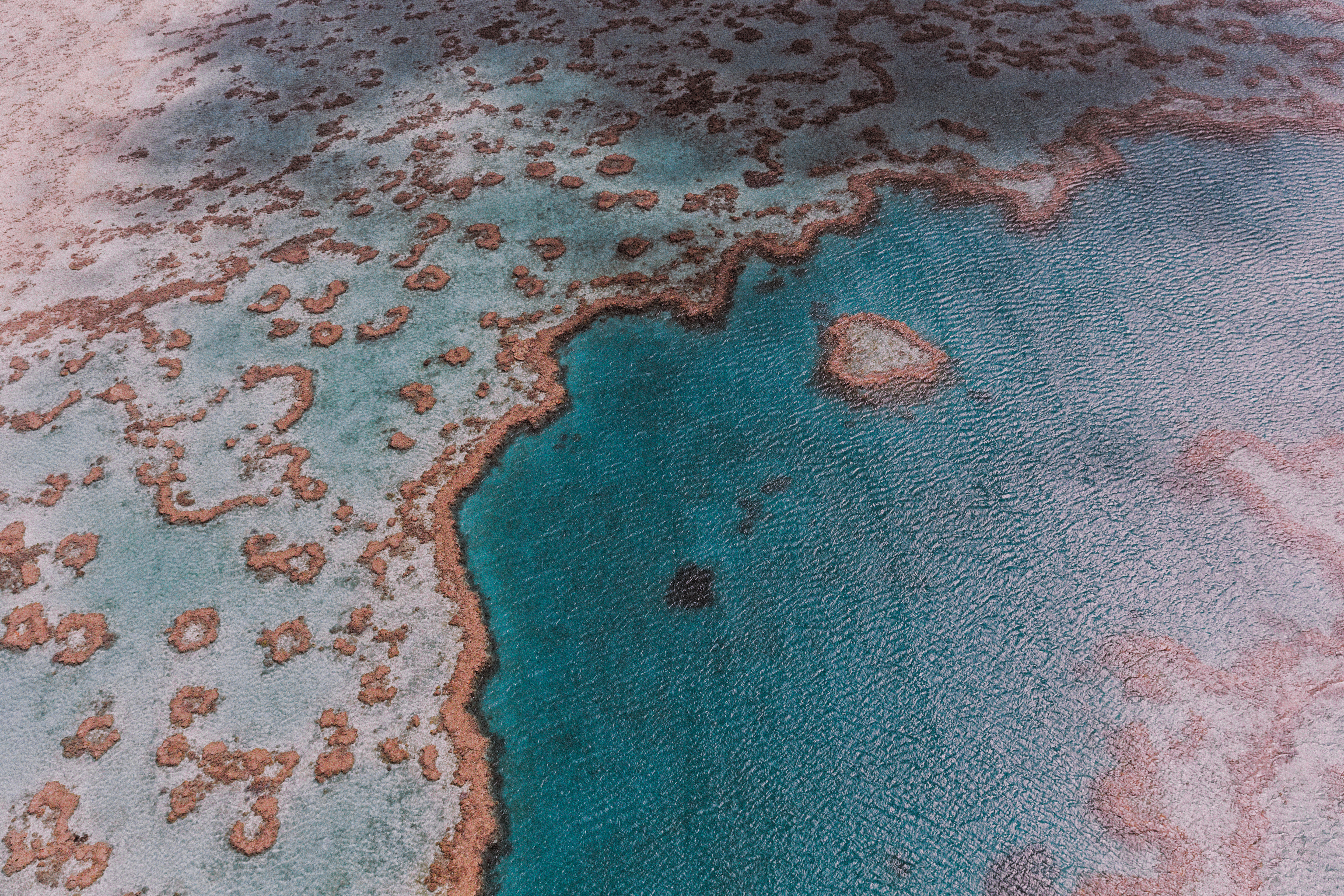 澳洲最新研究指出，大堡礁在過去一年經歷歷來最嚴重的珊瑚覆蓋率下降。（東方IC）