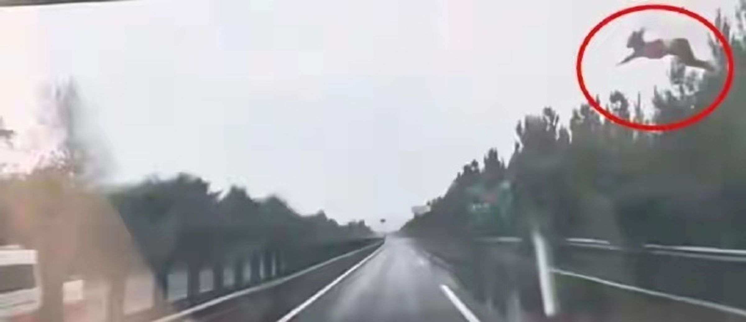 中國山西日前發生一起恐怖車禍,一輛白色SUV在高速公路疑打滑失控,一名女子被拋出車外。(翻攝自微博)