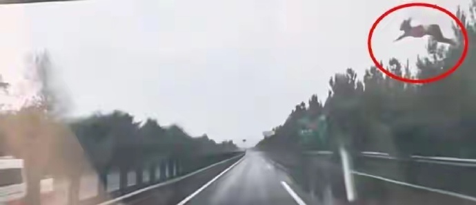 中國山西日前發生一起恐怖車禍，一輛白色SUV在高速公路疑打滑失控，一名女子被拋出車外。（翻攝自微博）