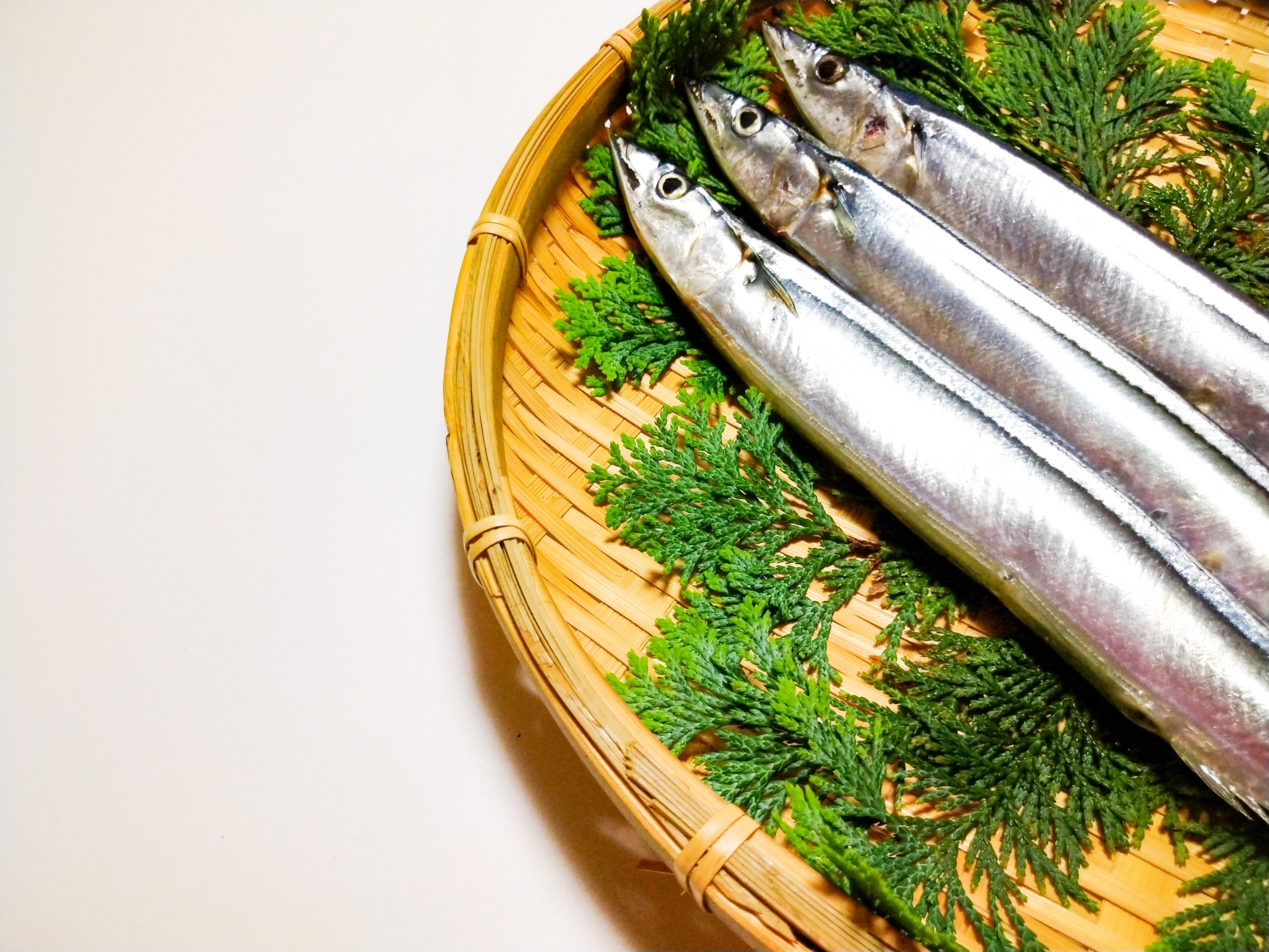 日本排放核廢水後首批秋刀魚抵台，農業部將逐批檢驗。（示意圖，PhotoAC）