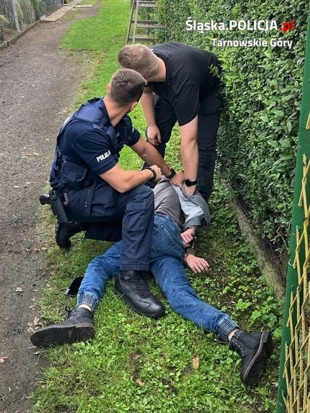 海帕被警方逮捕時。(翻自《每日郵報》)