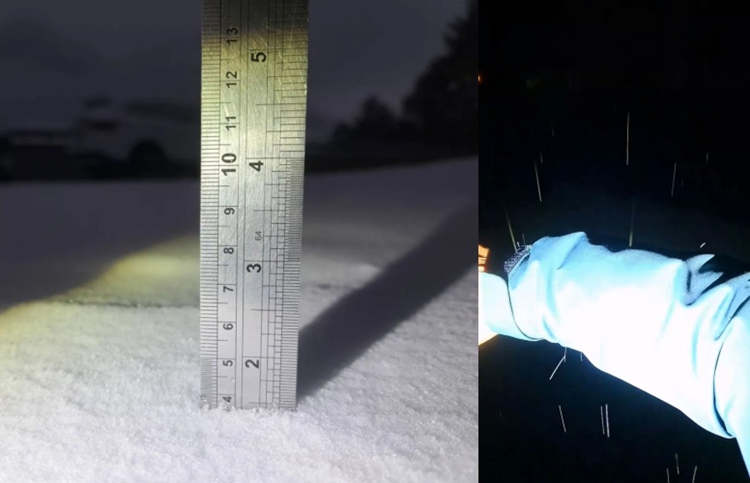 積雪厚達3.5公分，民眾看見皚皚白雪，迫不及待出門親身體驗被雪花打在身上的感覺。（林業署南投分署提供）